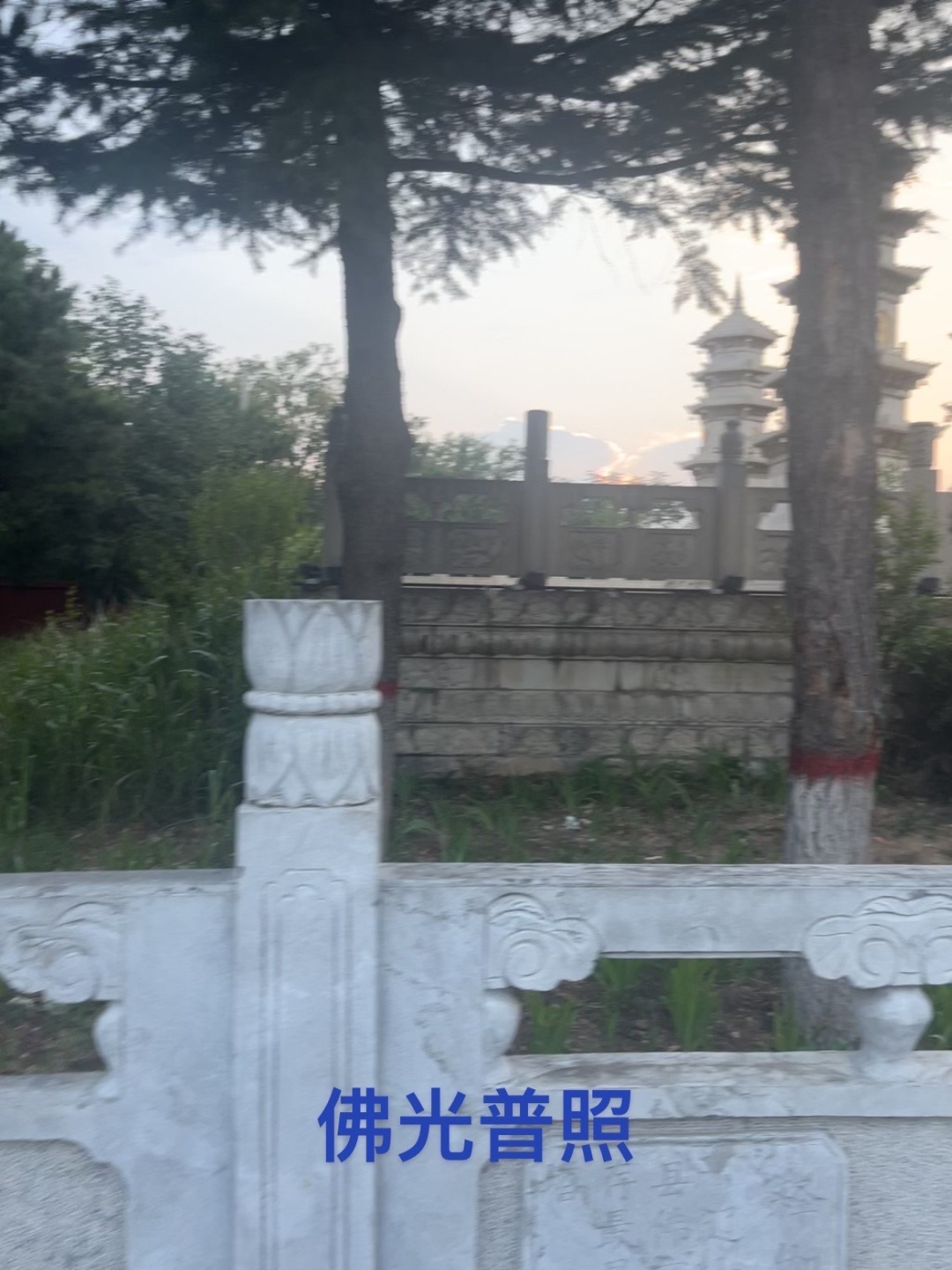 白马寺山森林公园-露营地