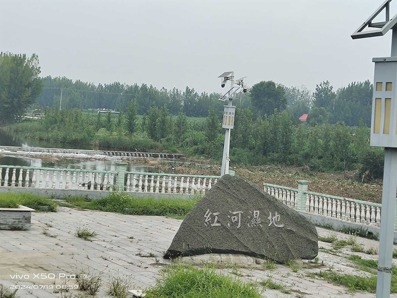 红河湿地旅行图片 1