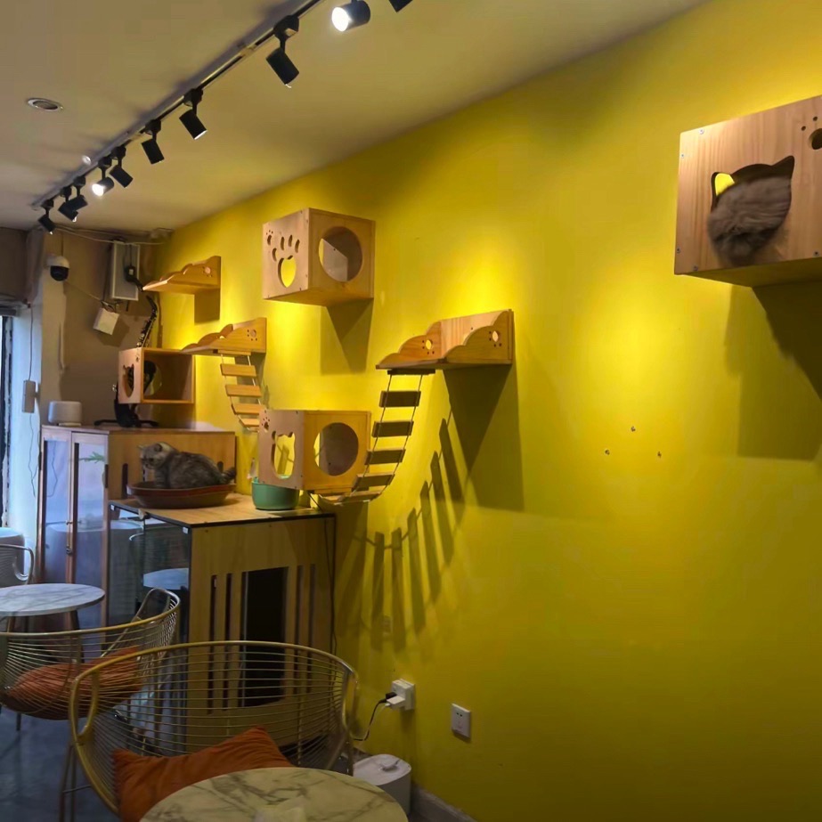 场地封面-玩剧森林·撸猫·PS5·Switch