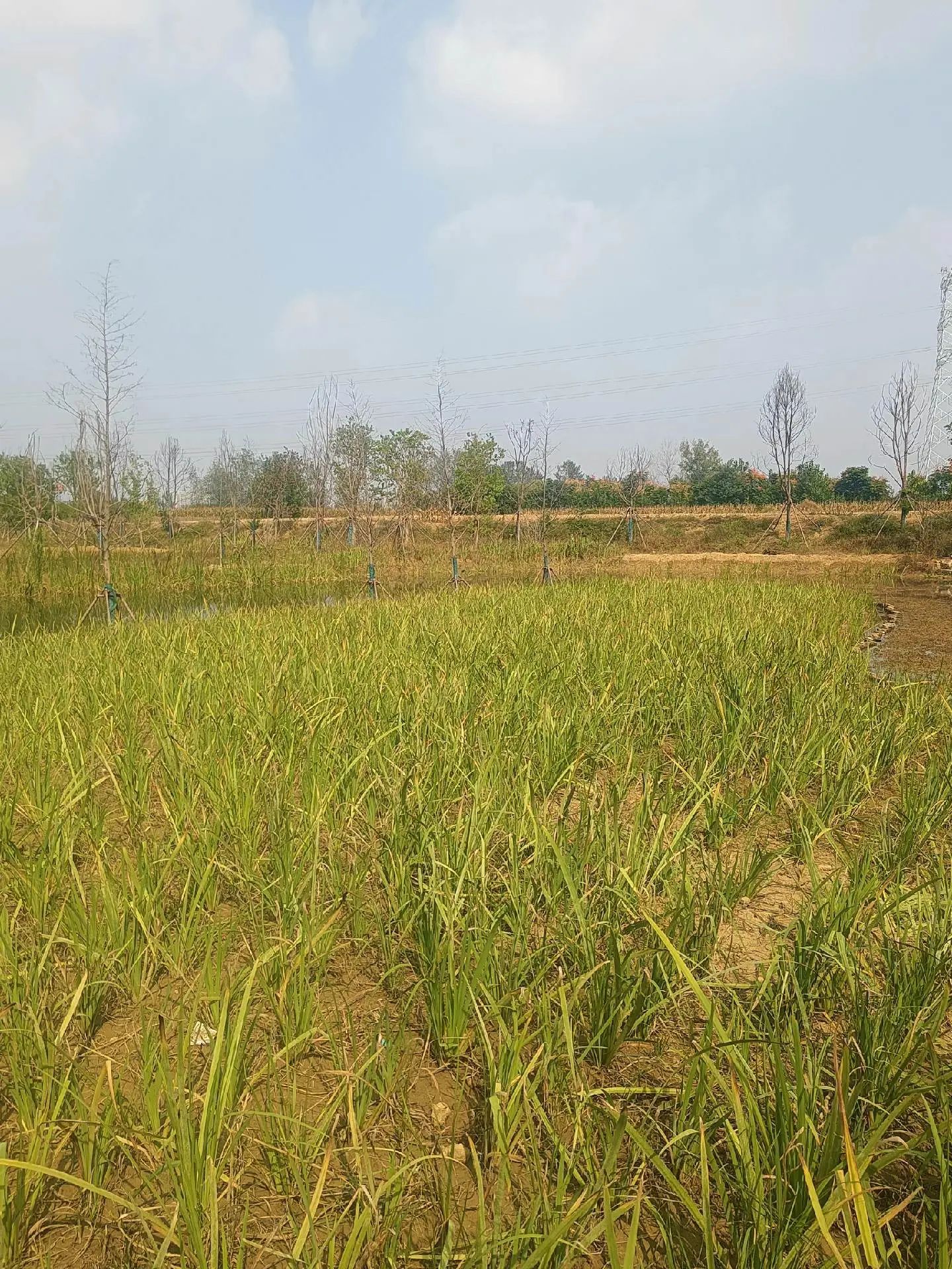 潘沟湿地公园旅行图片 3