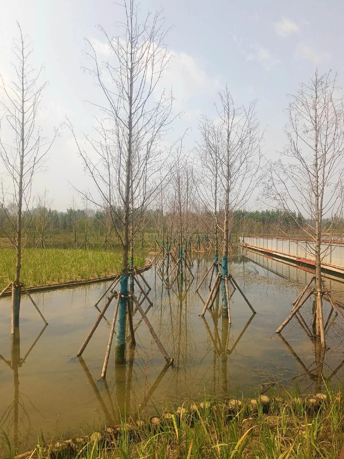 潘沟湿地公园旅行图片 2