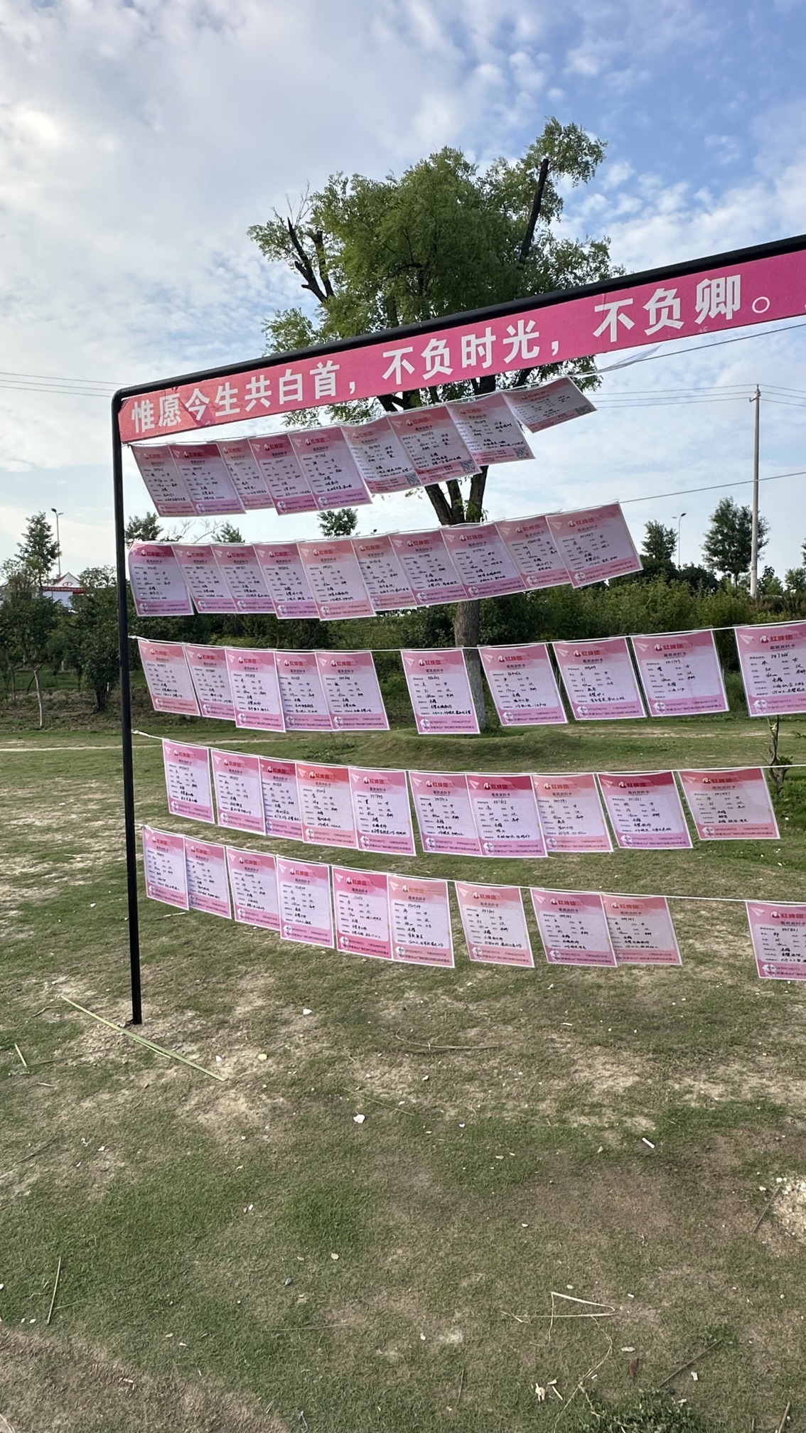 滨河公园公益相亲角旅行图片 3