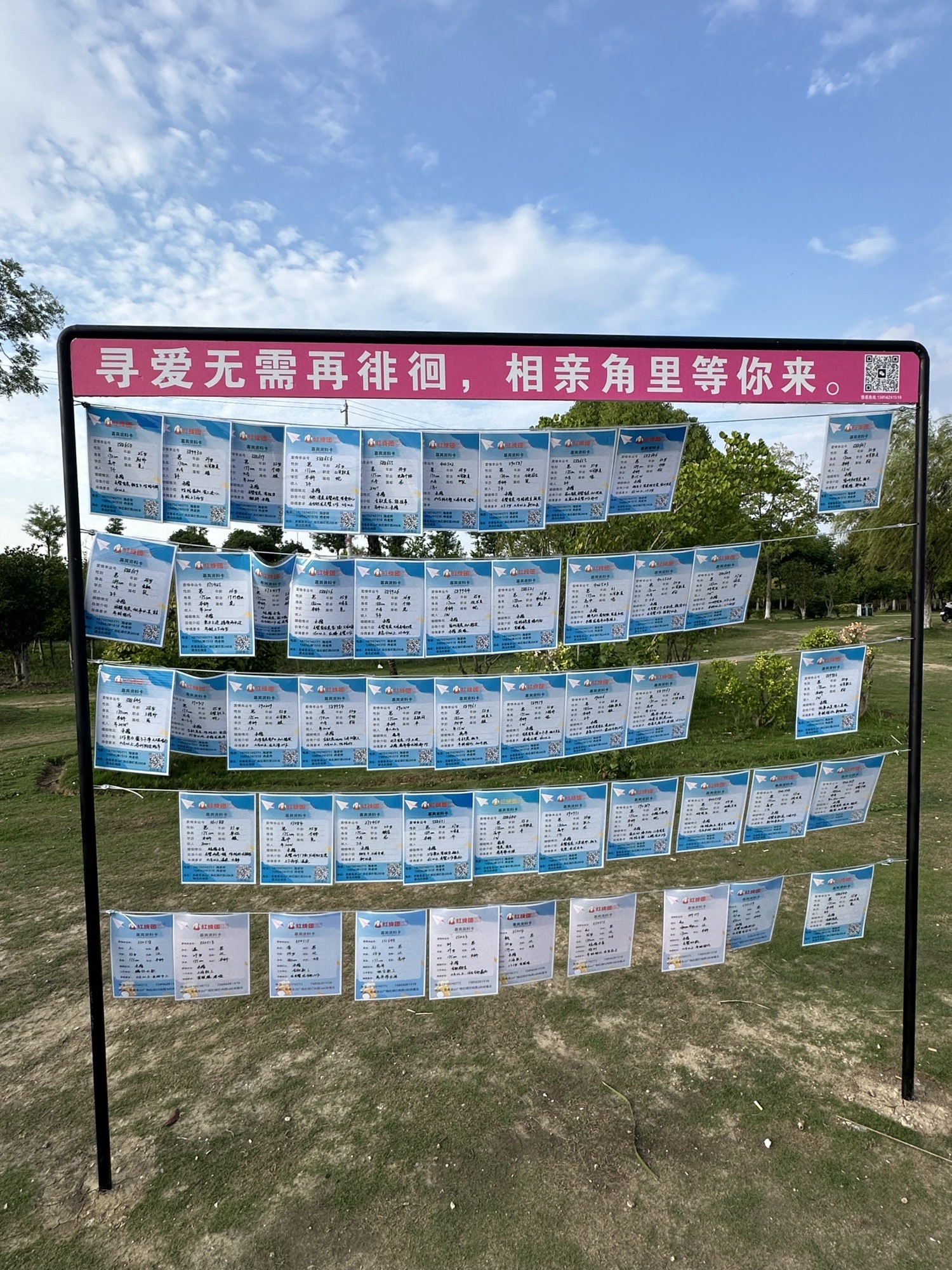 滨河公园公益相亲角旅行图片 2