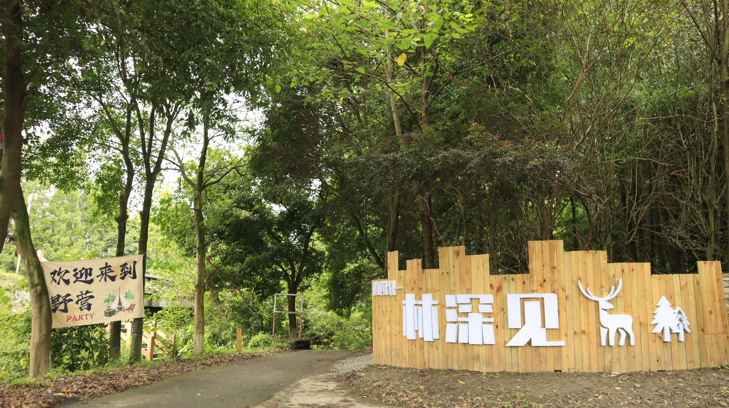 场地封面-林深见鹿露营基地