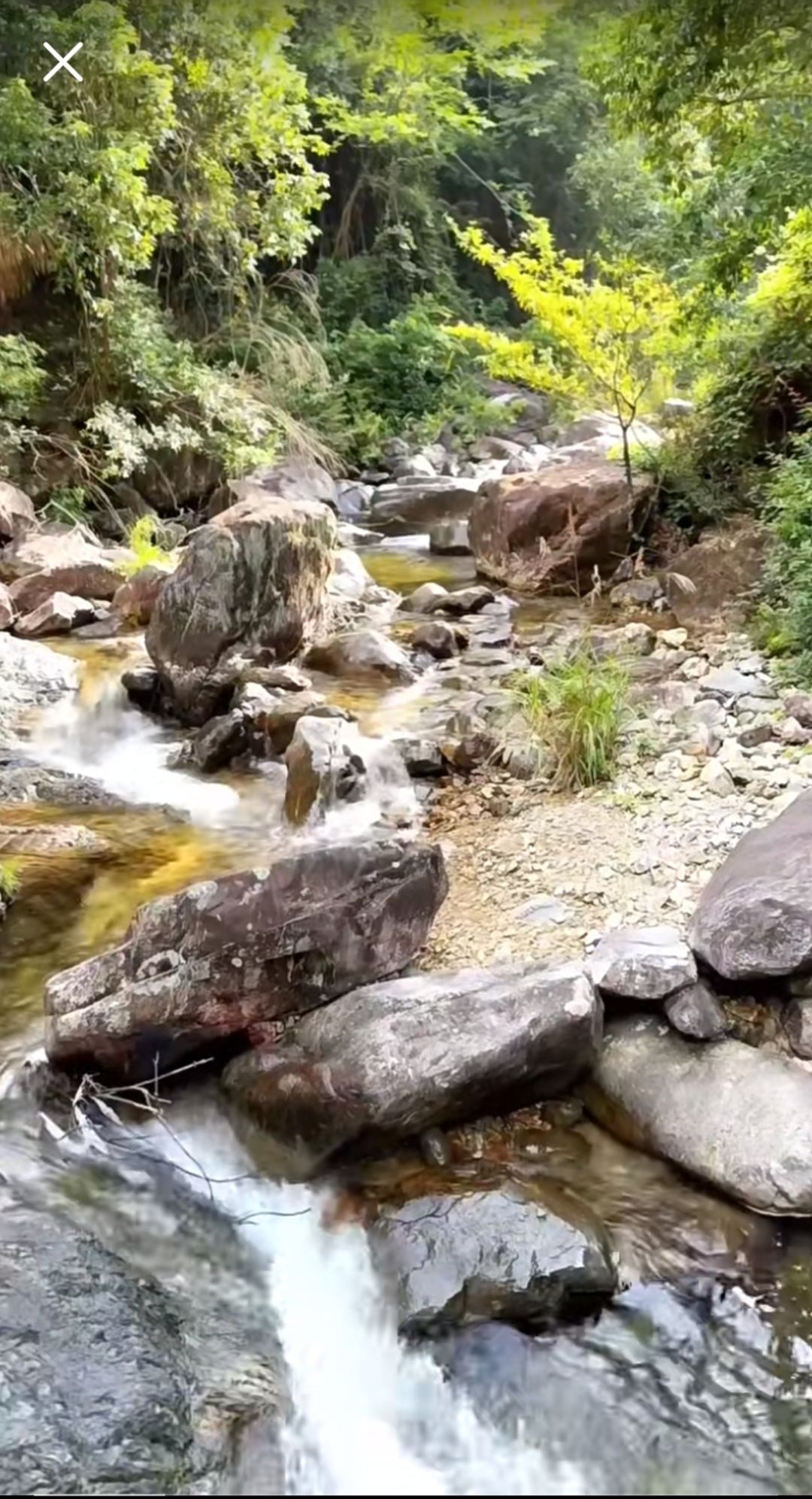 夏洞天旅行图片 2