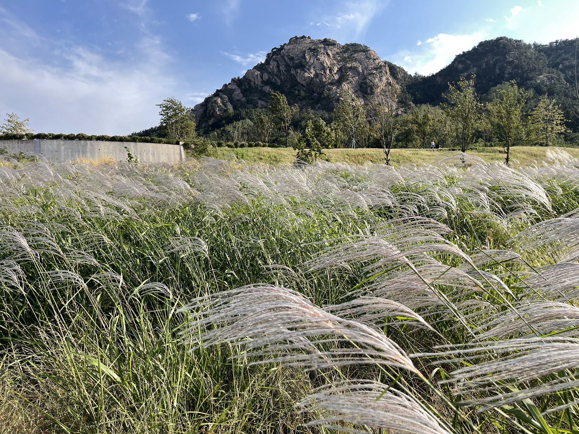 奎山山地公园旅行图片 1