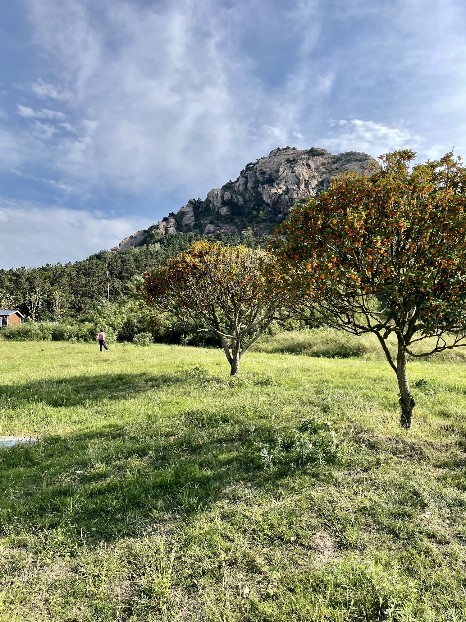 奎山山地公园旅行图片 3