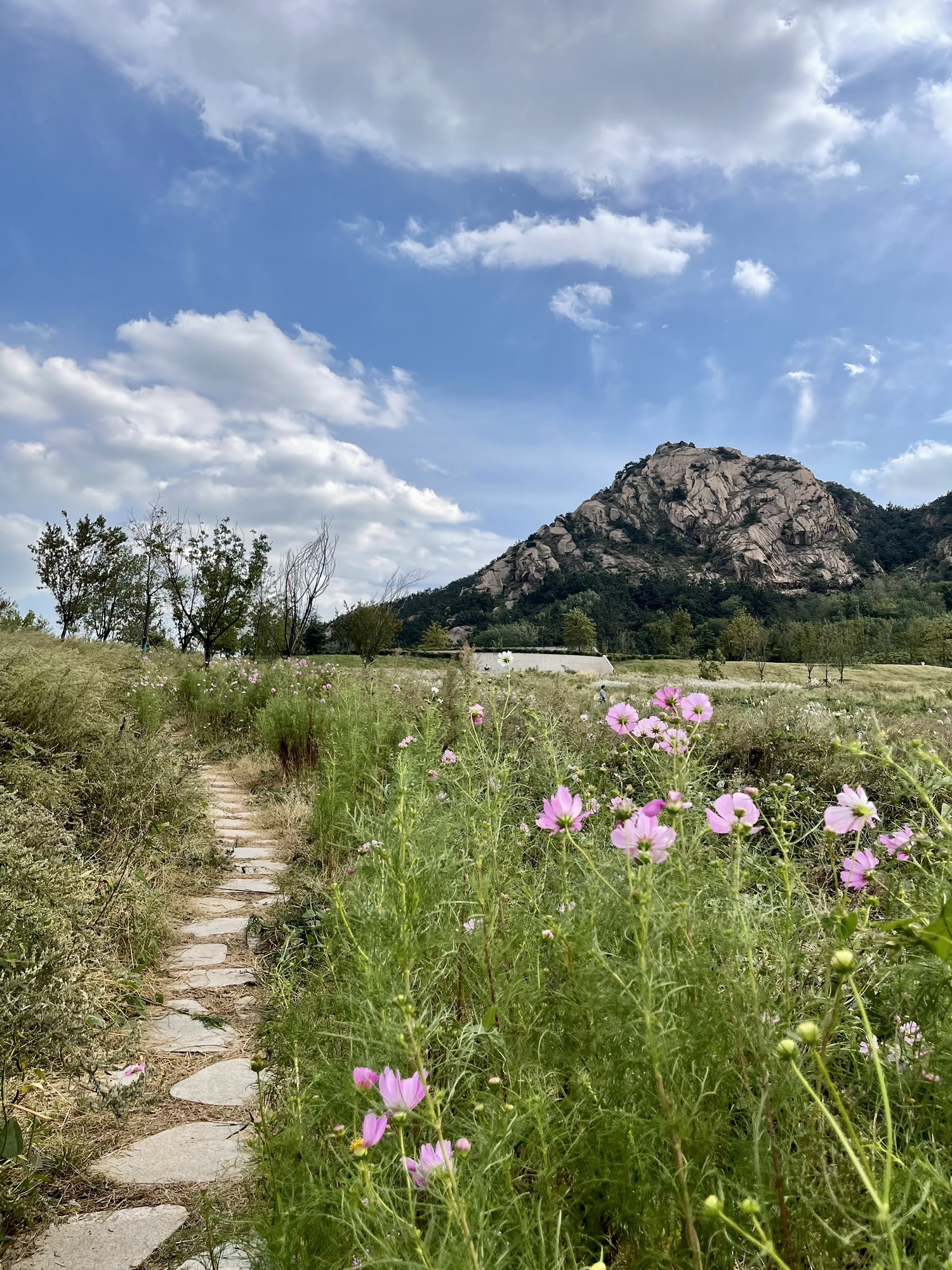 奎山山地公园旅行图片 2