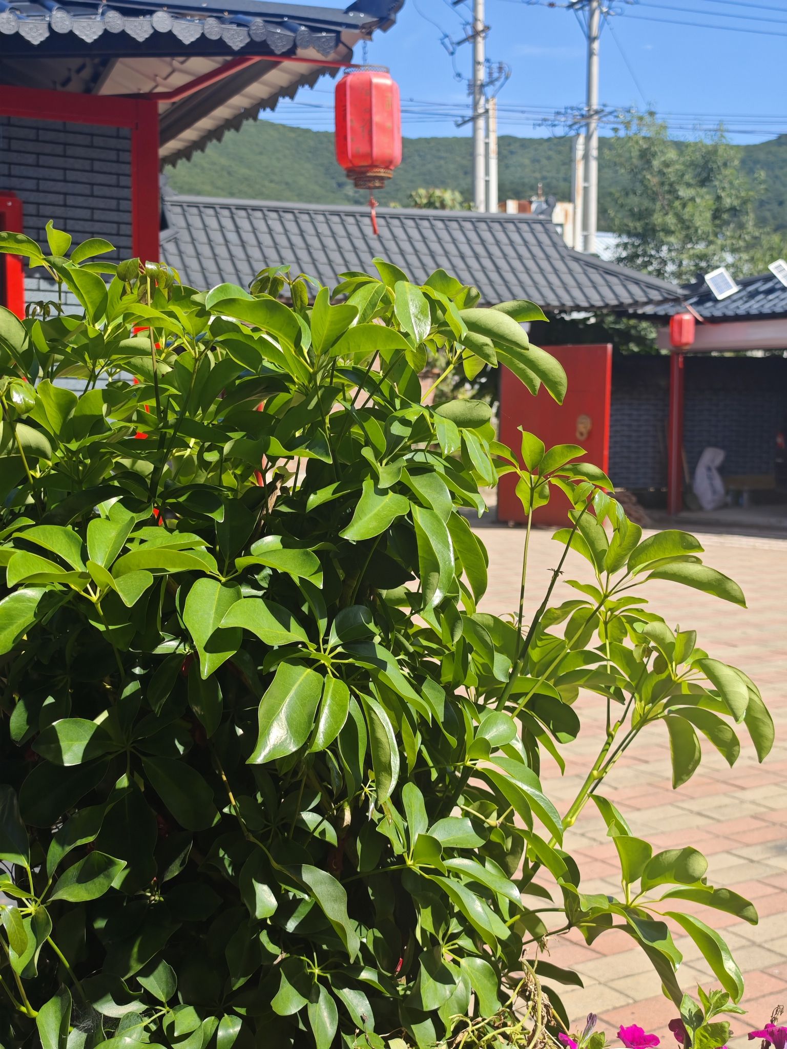 延吉市华林宫旅行图片 1