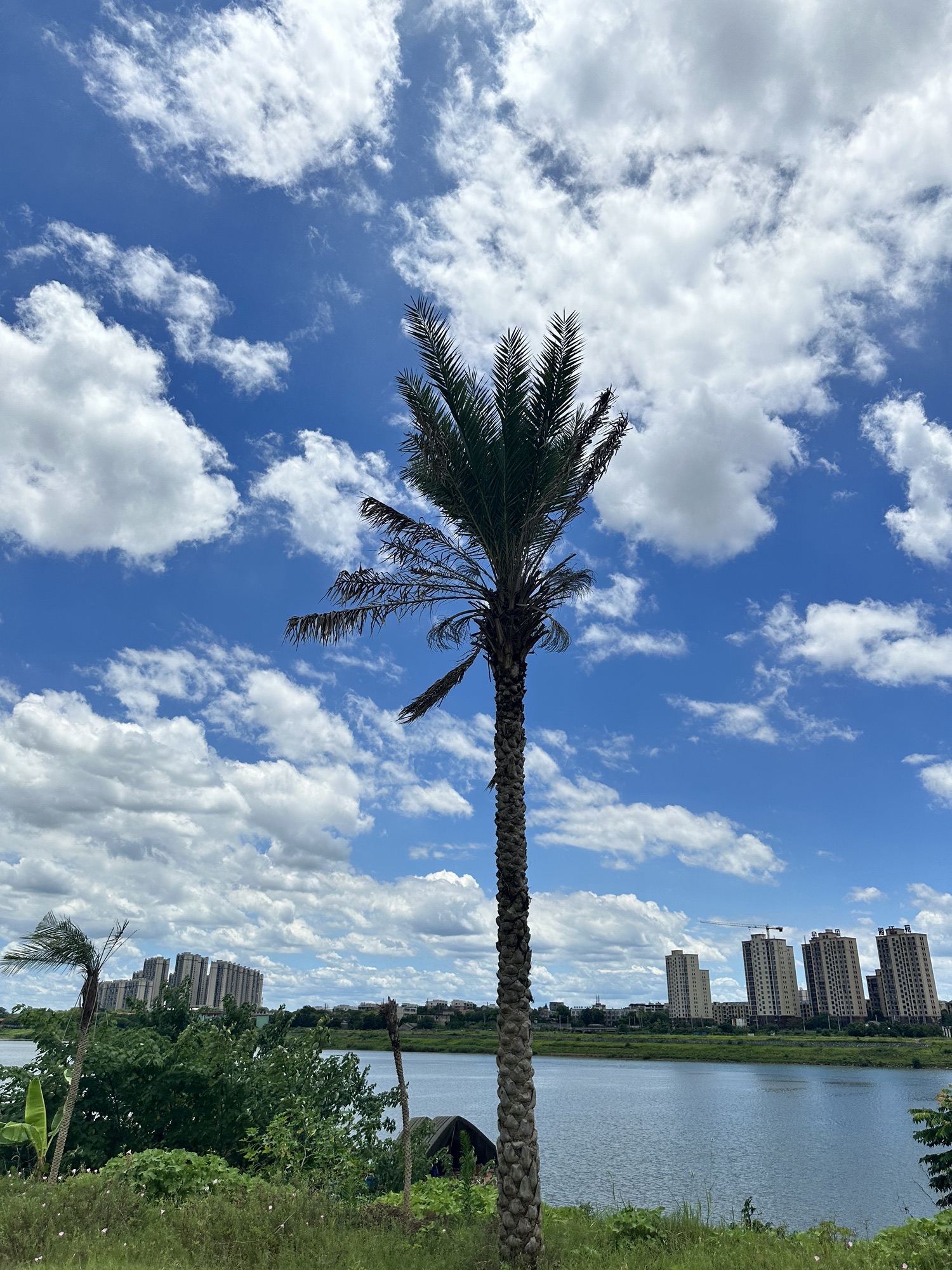 欢乐湘江·玩美公园