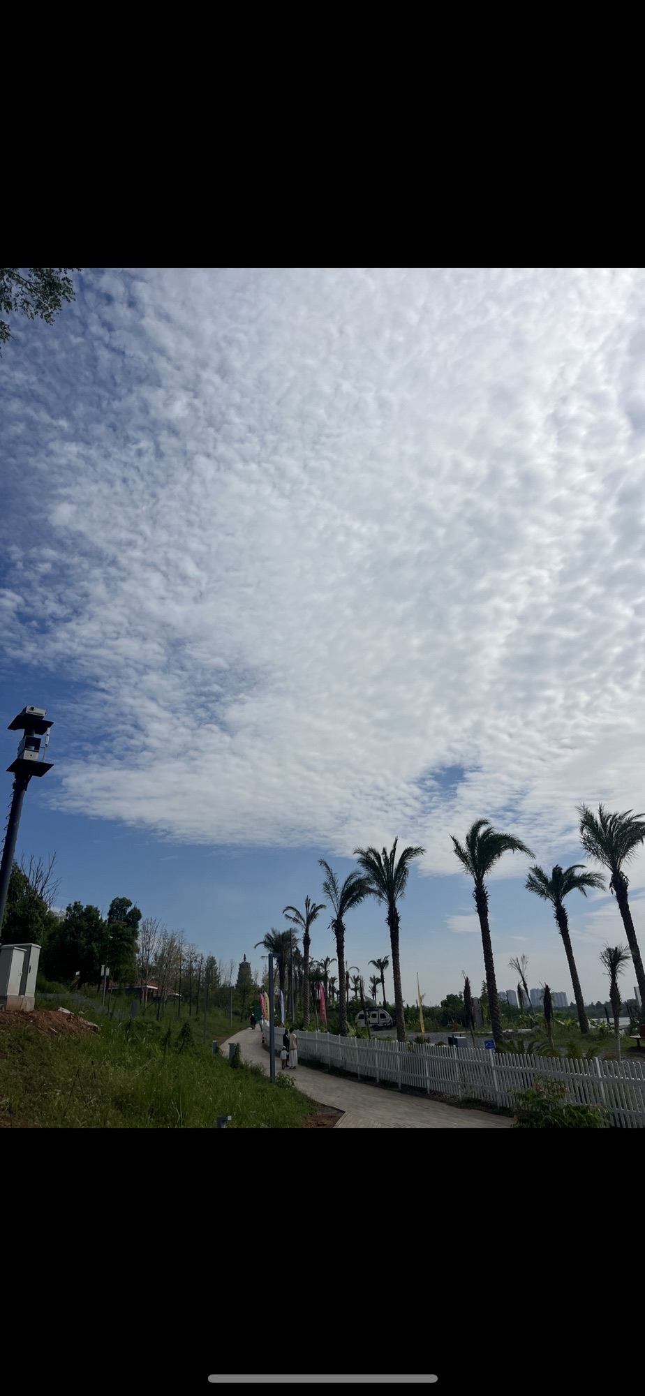 欢乐湘江·玩美公园旅行图片 3