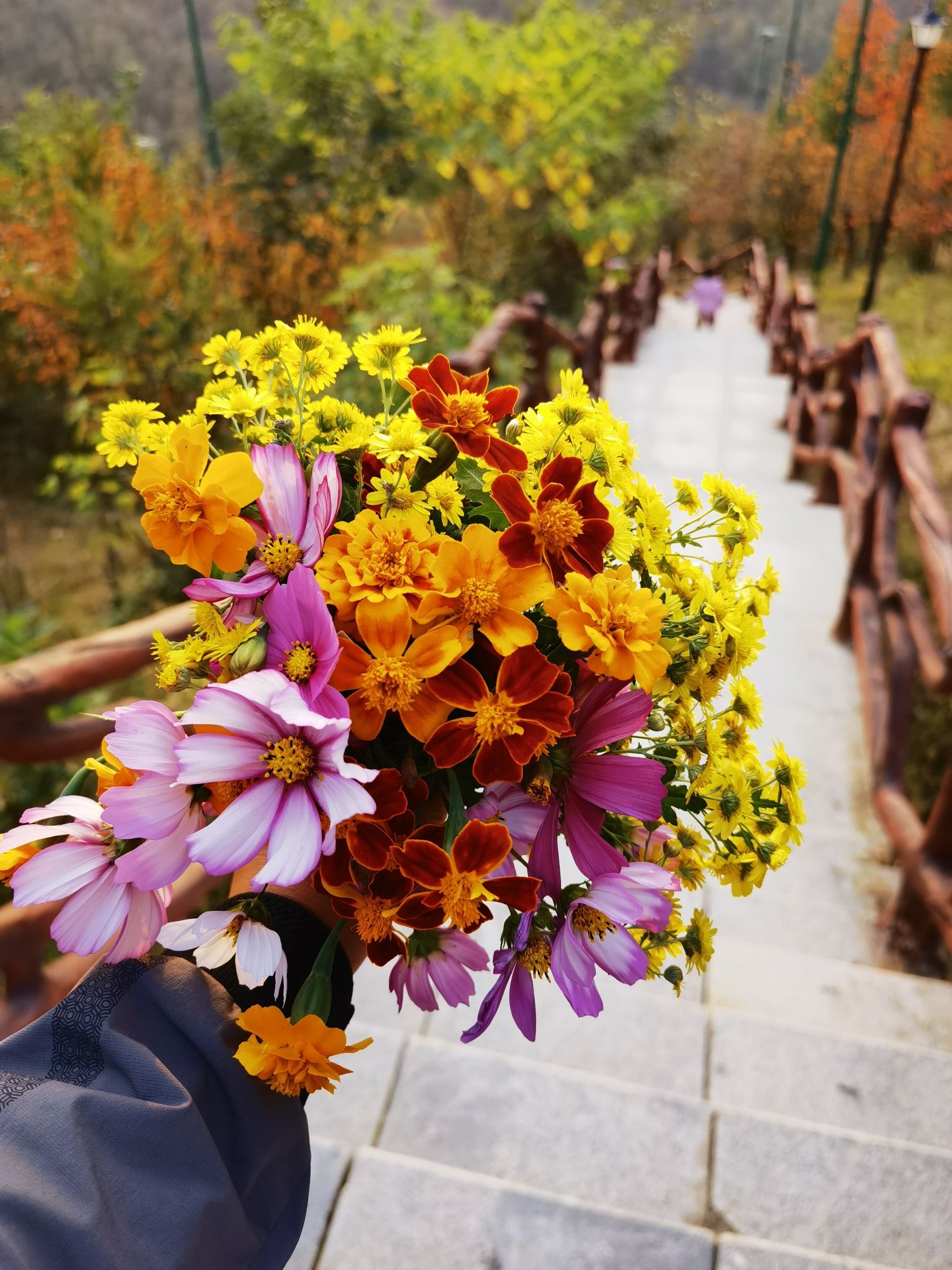 燕山公园旅行图片 2