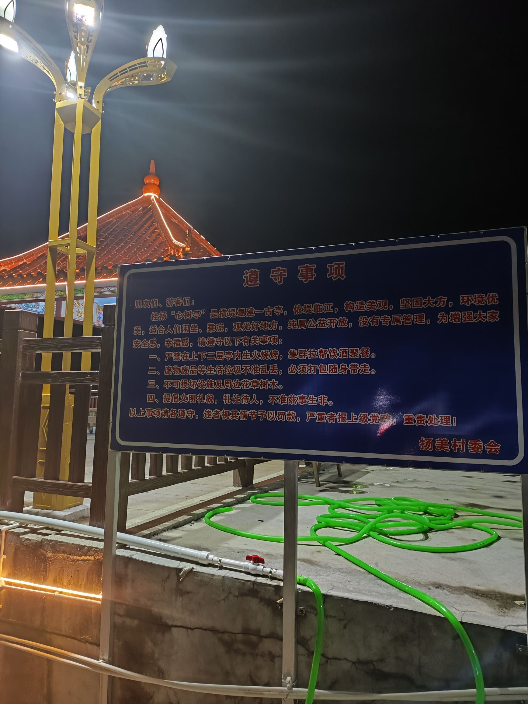 心树亭旅行图片 2