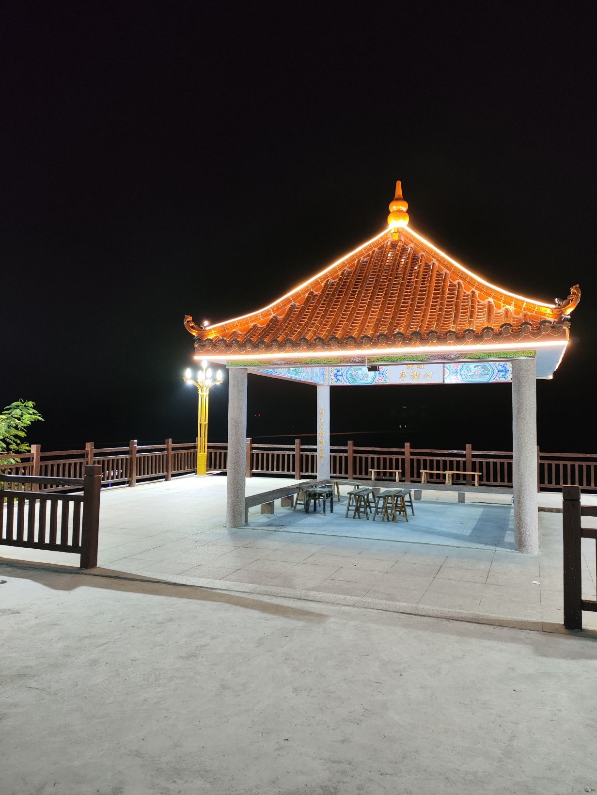 心树亭旅行图片 1