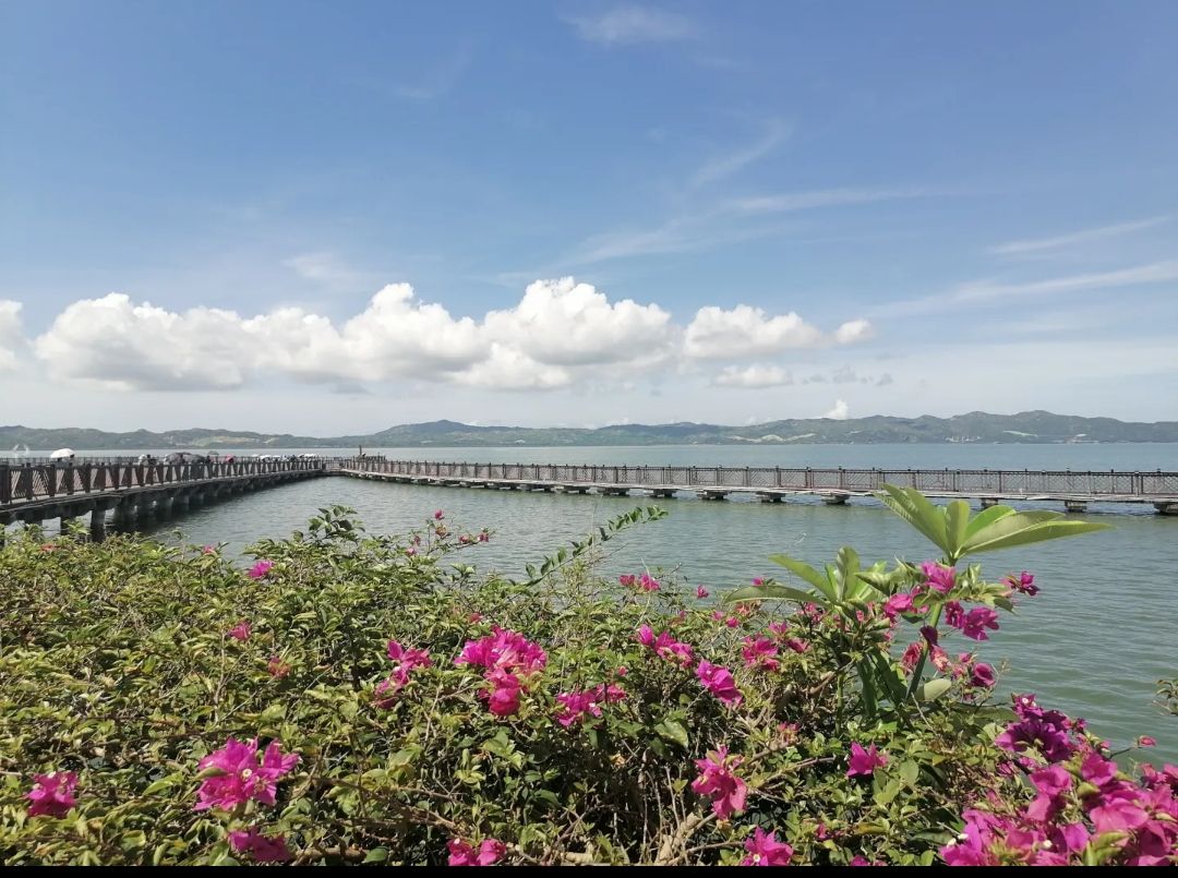 汕尾市品清湖碧道-滨水步道旅行图片 1