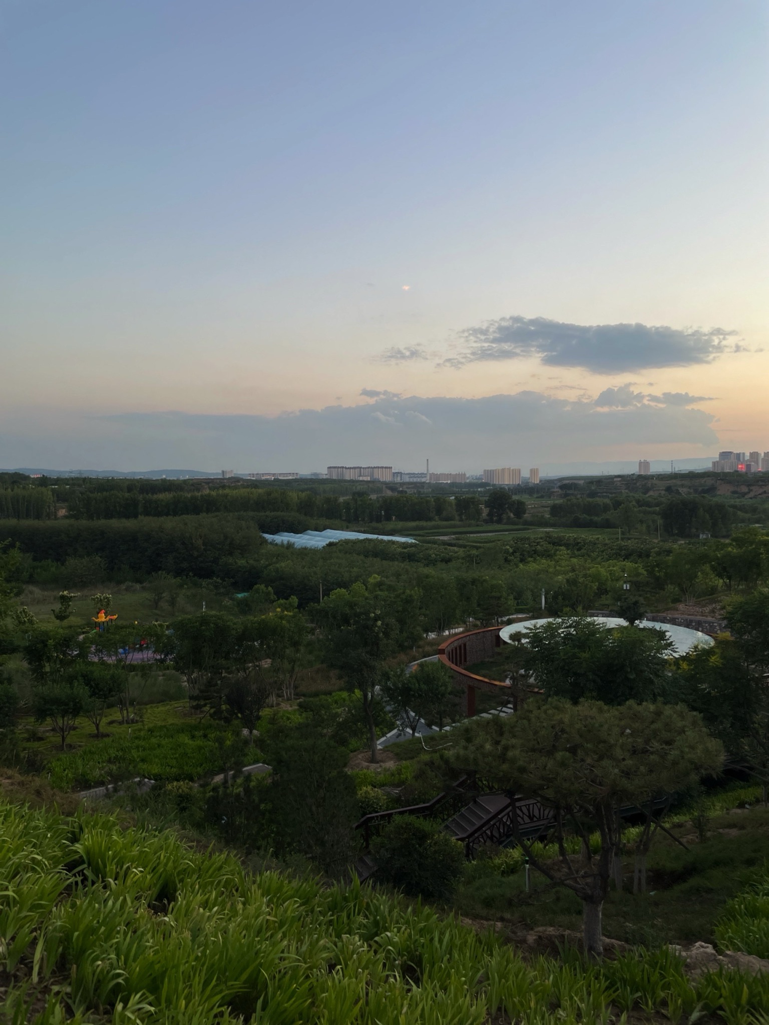 新阳森林公园旅行图片 3