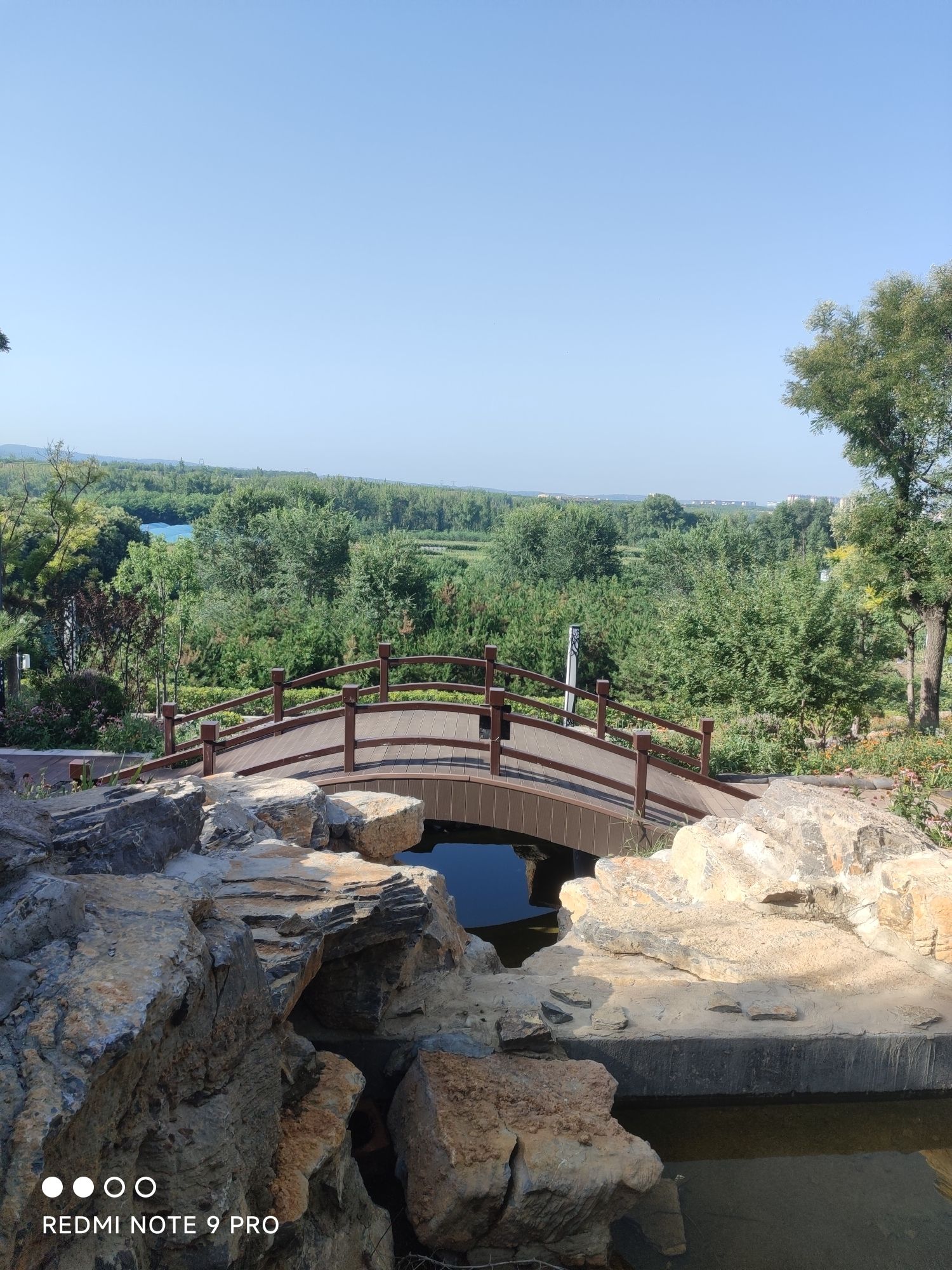 新阳森林公园