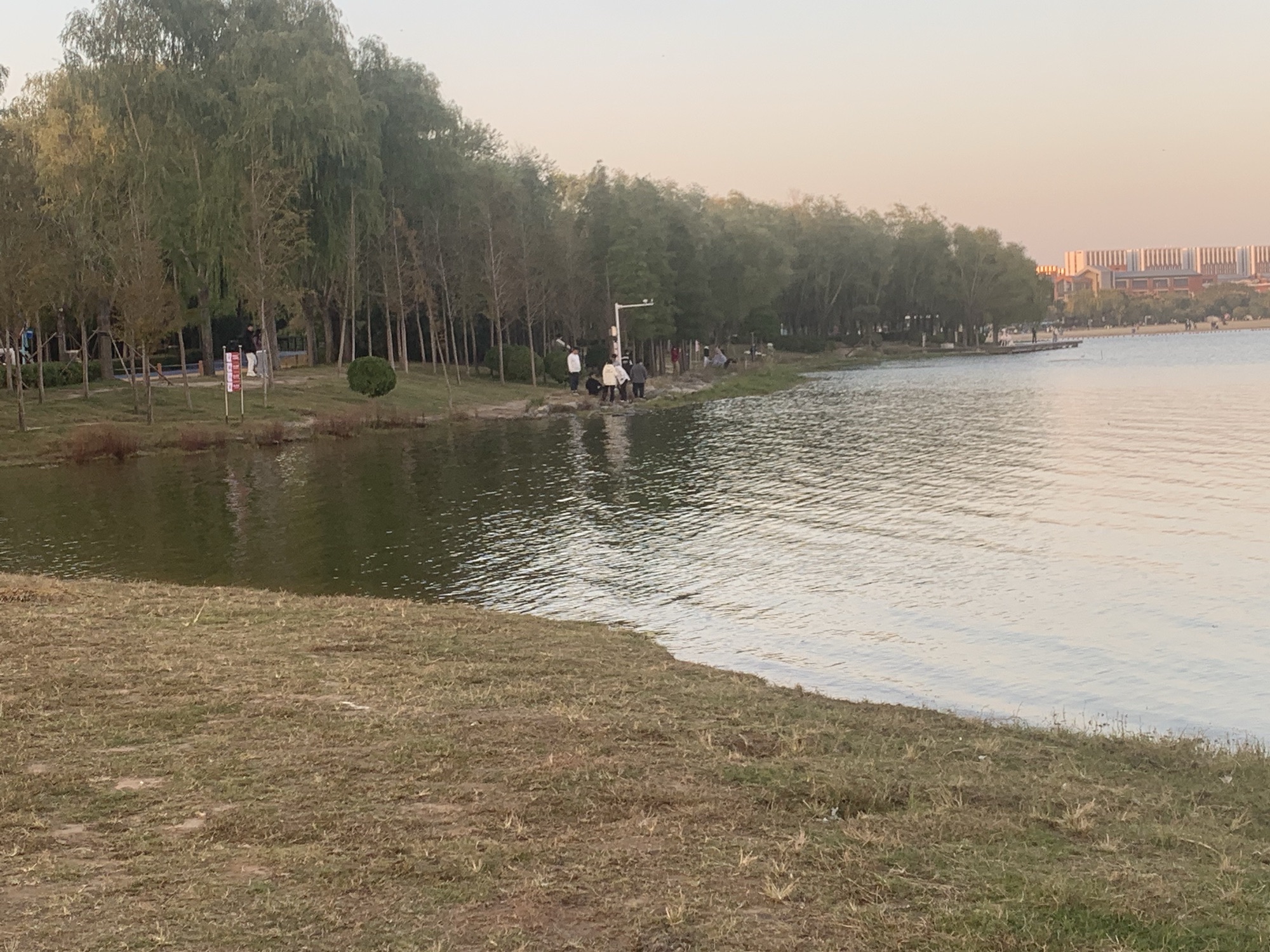景观通廊旅行图片 1