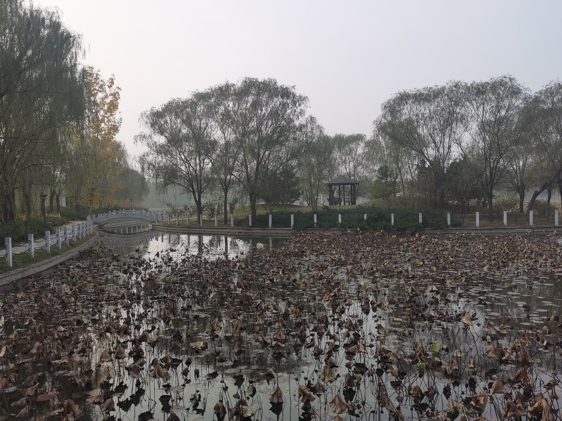 桃花岛旅行图片 1
