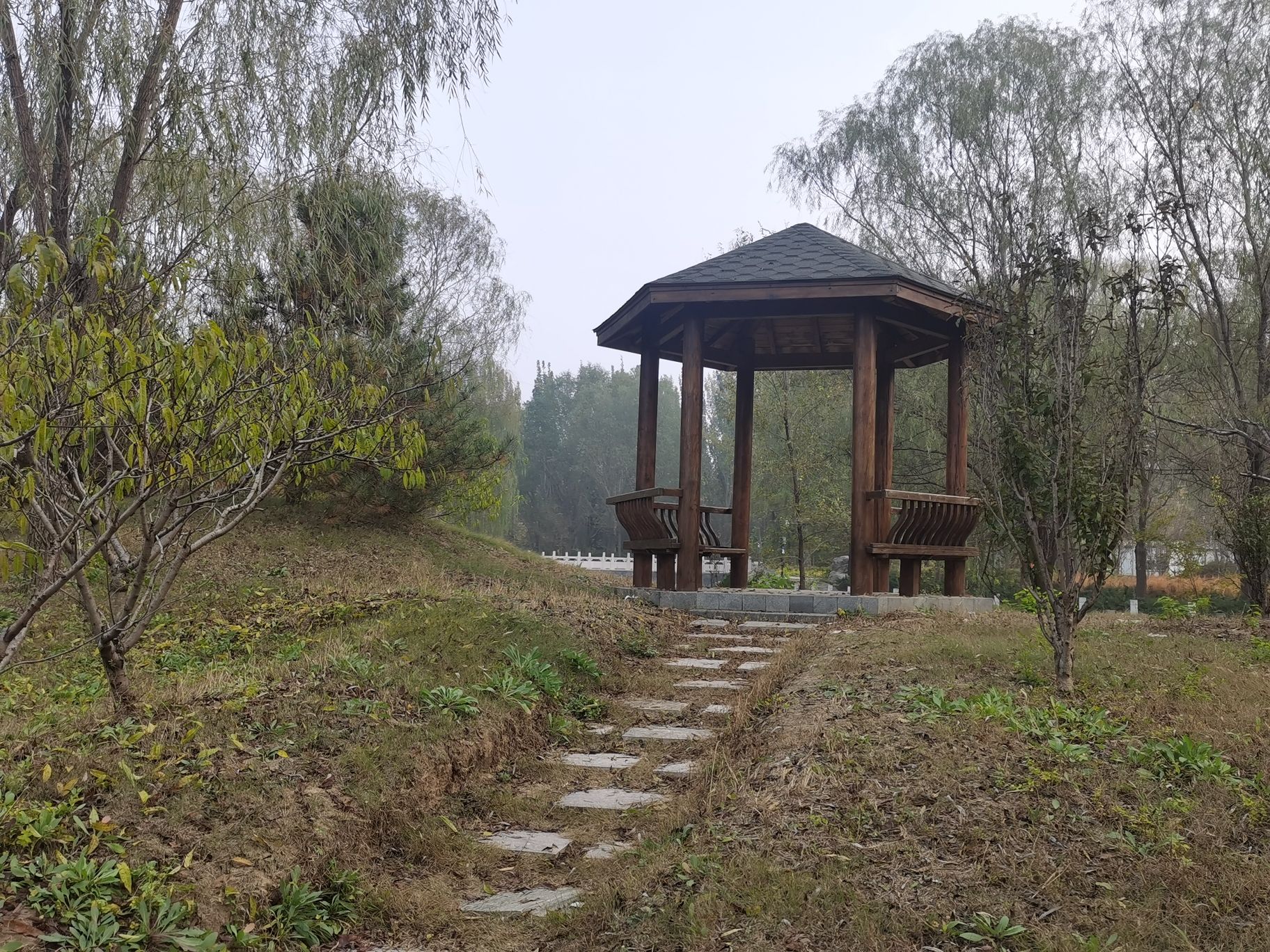 桃花岛旅行图片 3