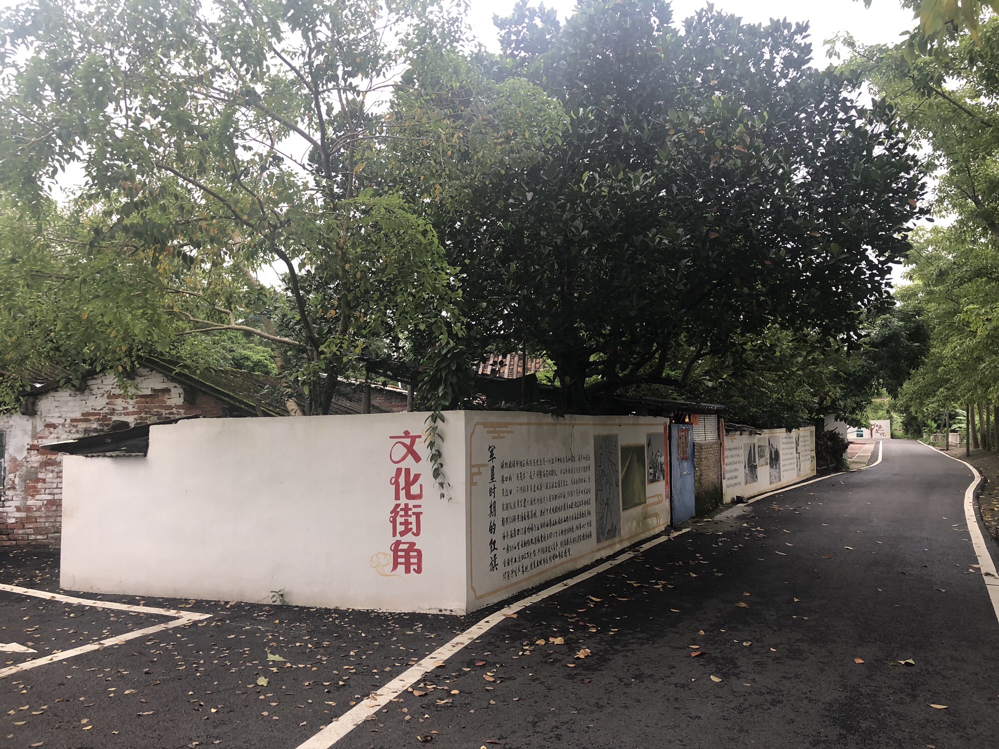 小林山生态公园旅行图片 2