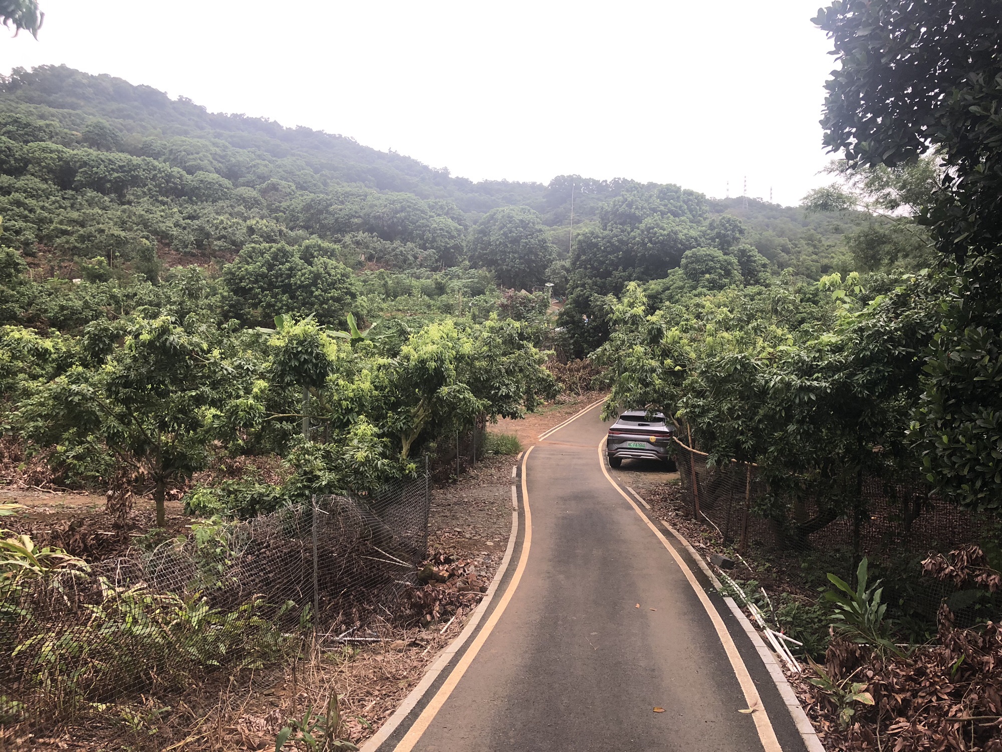 小林山生态公园旅行图片 3