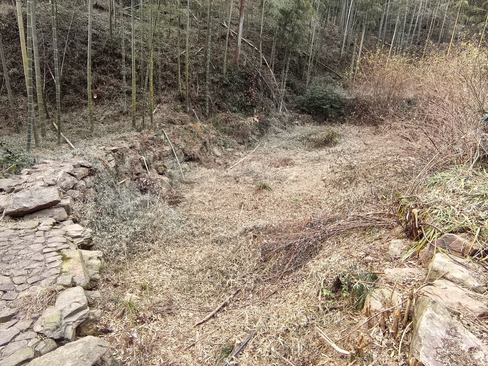 虞姬湖旅行图片 2