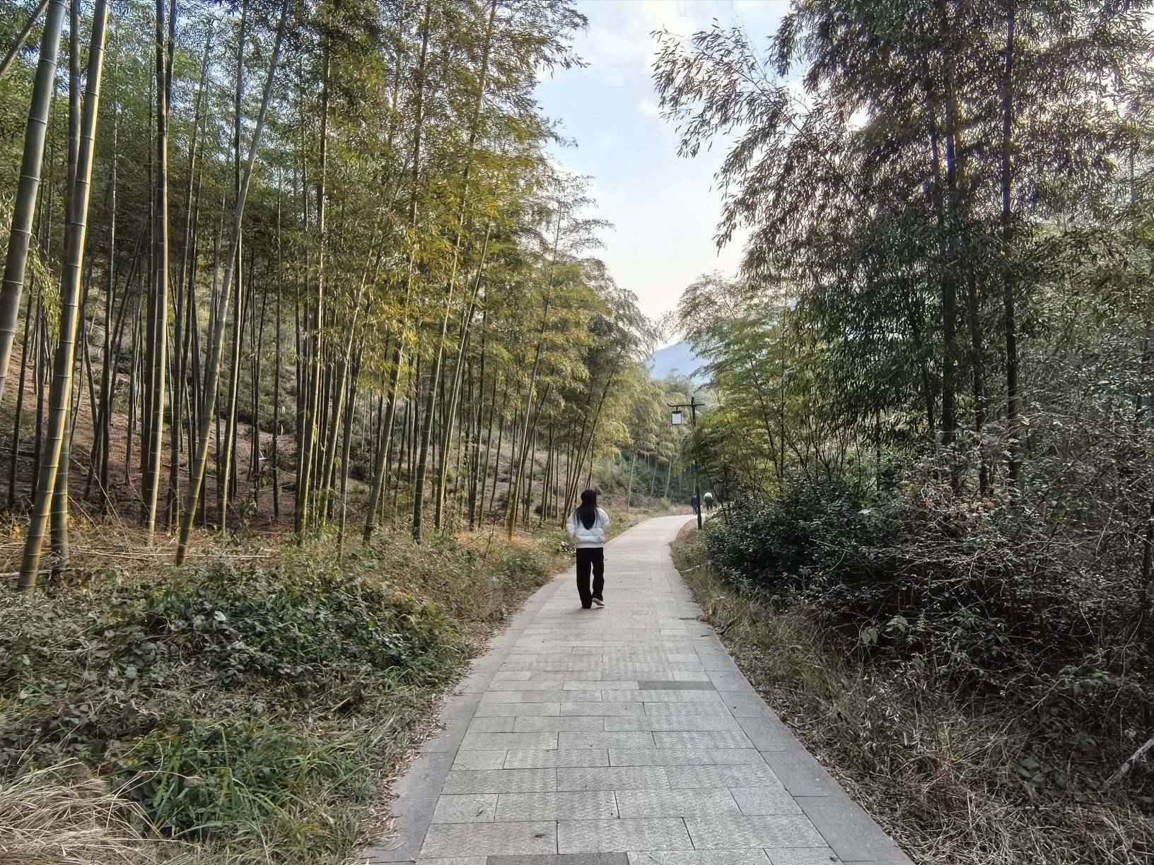 虞姬湖旅行图片 1