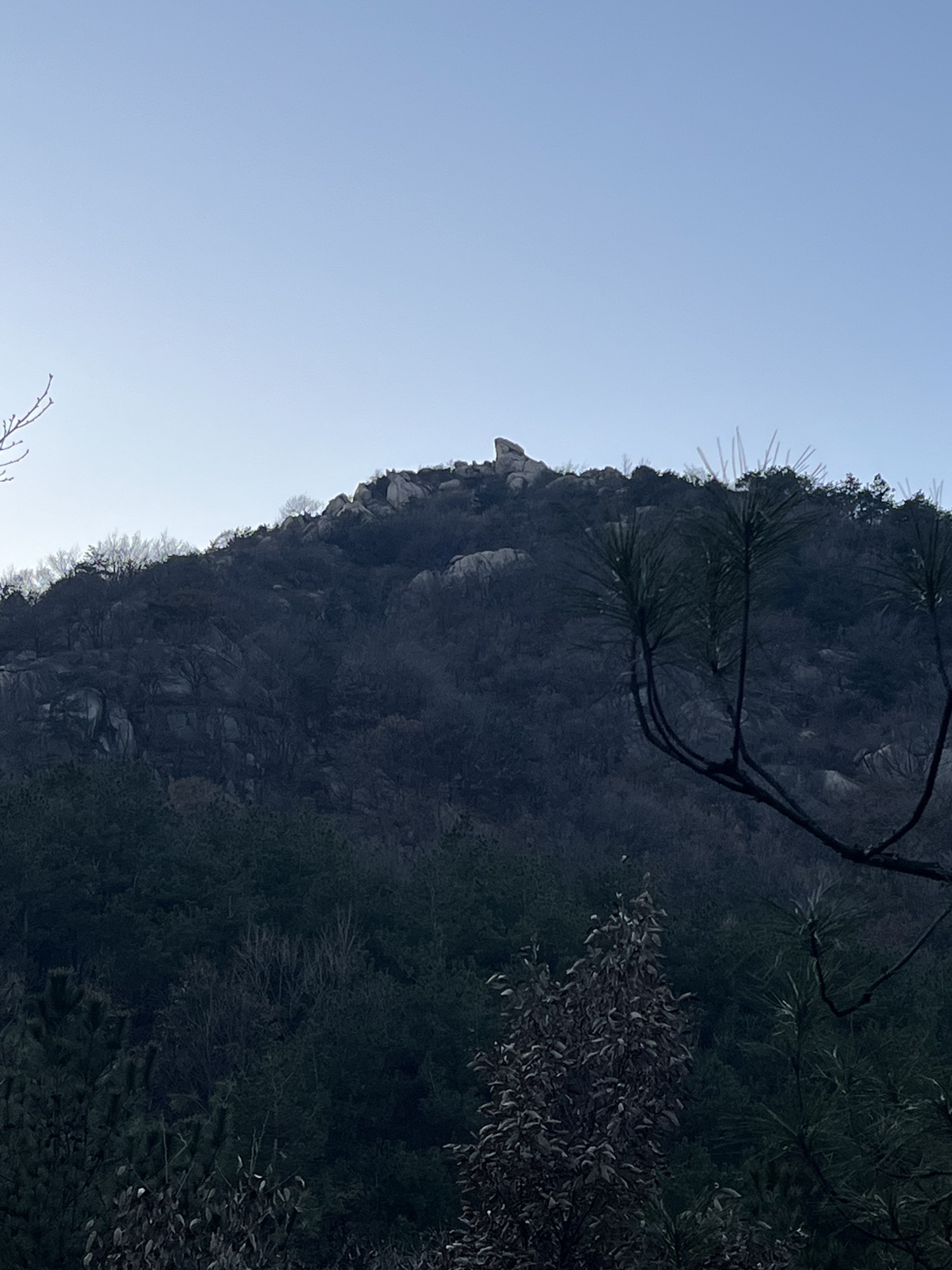 石柱擎天旅行图片 1