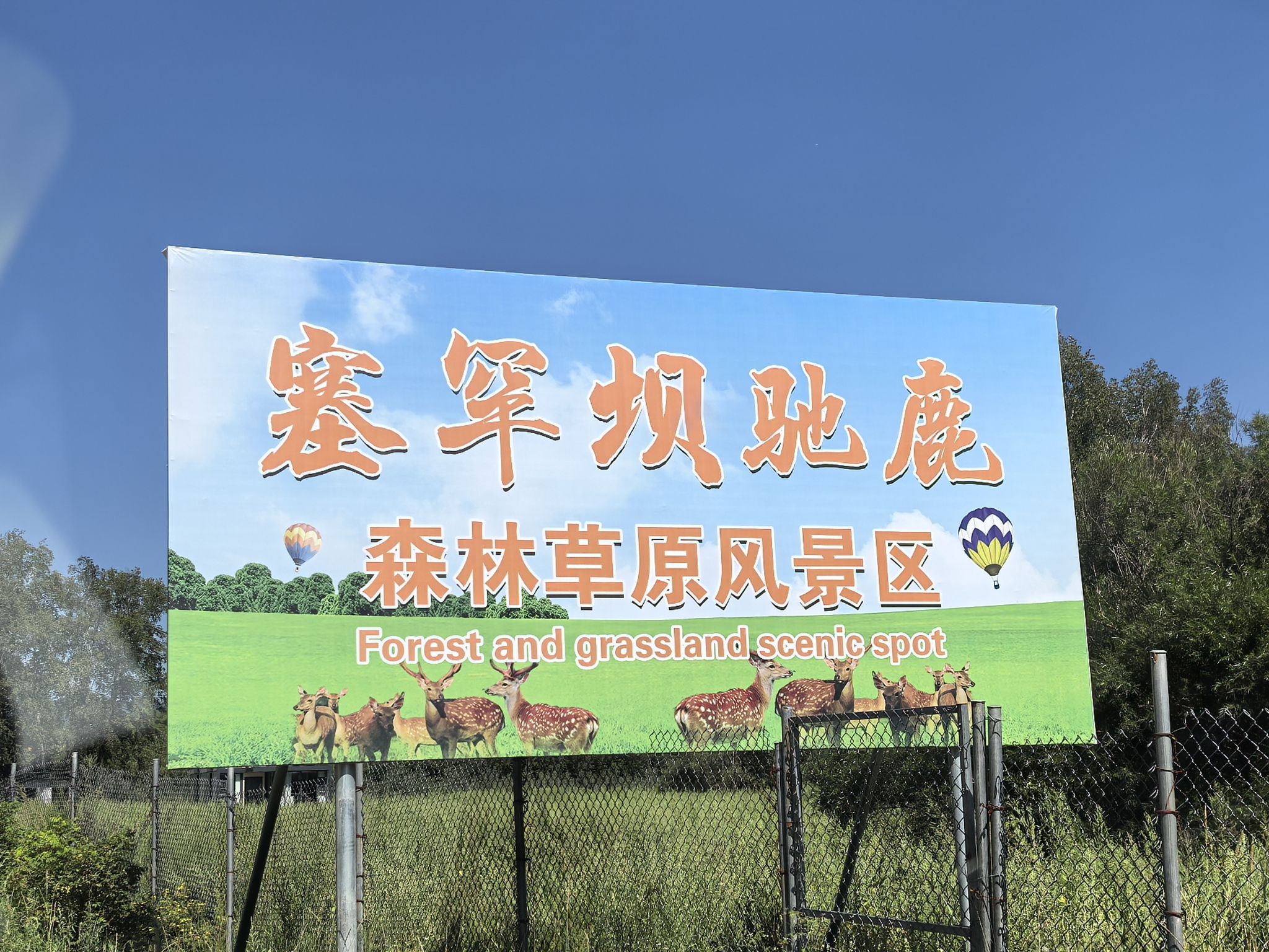 塞罕坝驰鹿森林草原风景区旅行图片 1