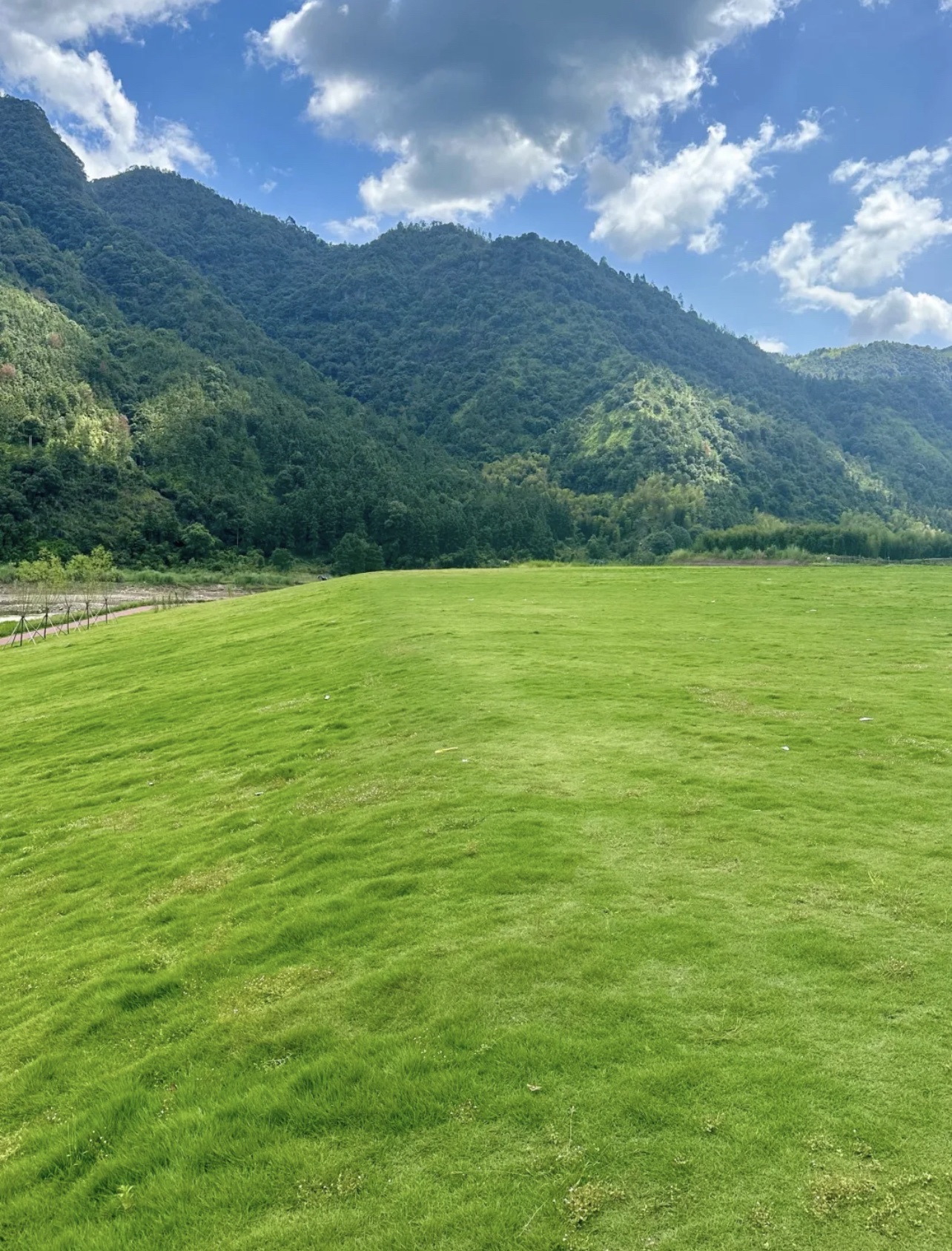 万芳草坪旅行图片 2