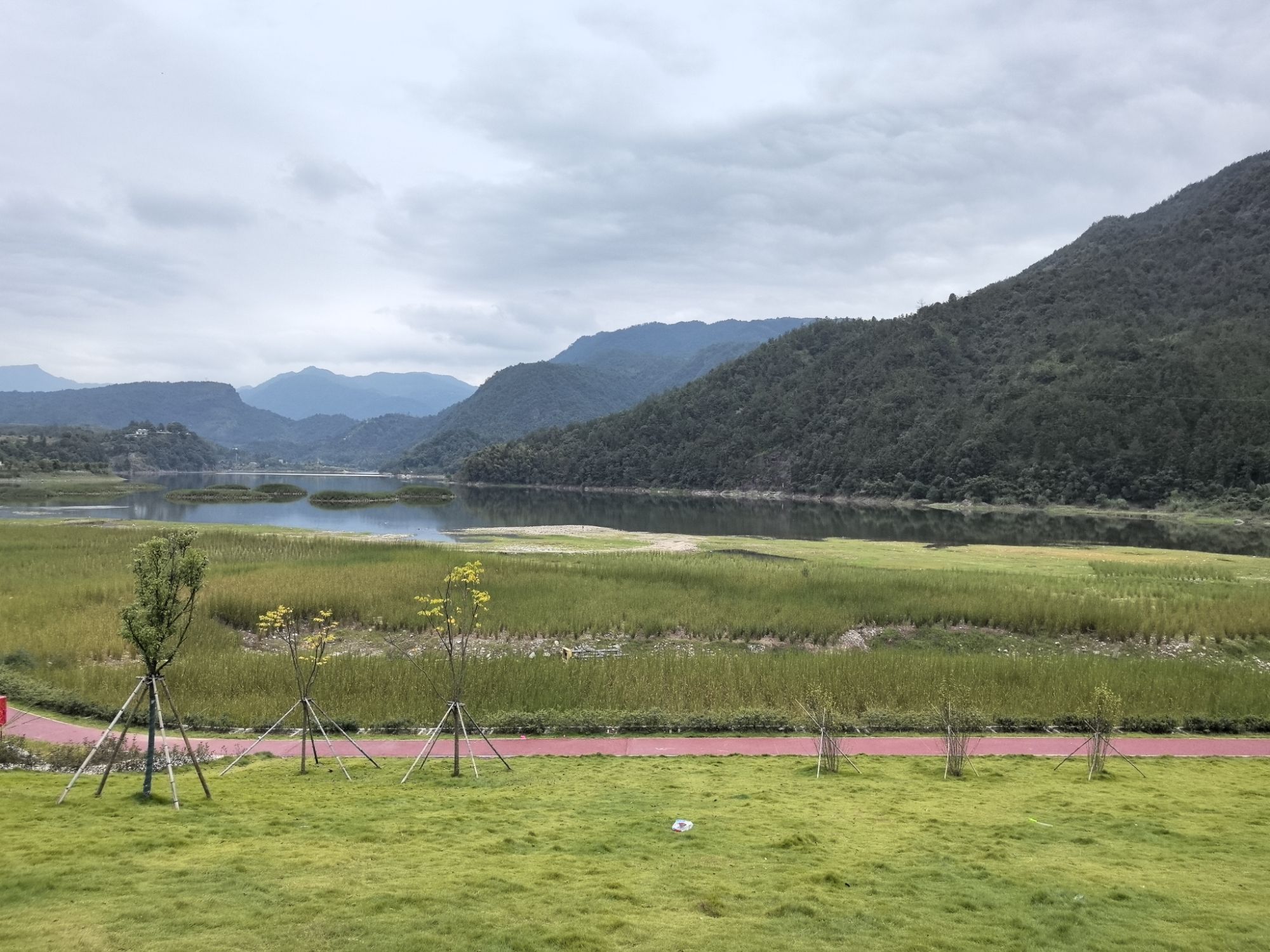 万芳草坪旅行图片 1