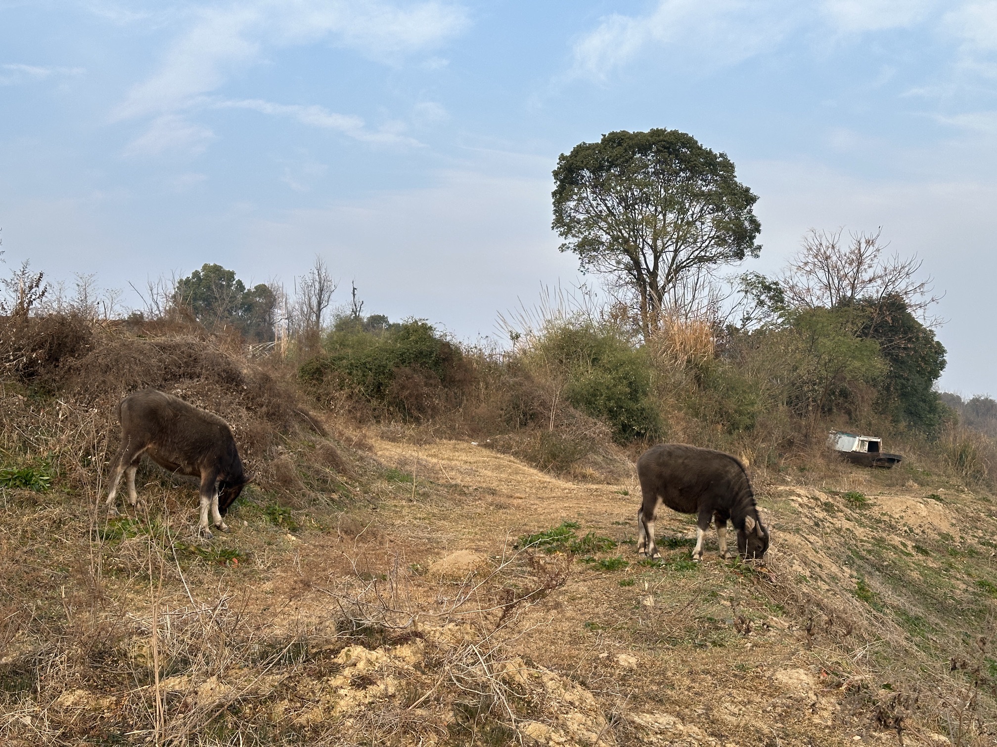 南街村河湖长制主题公园旅行图片 1