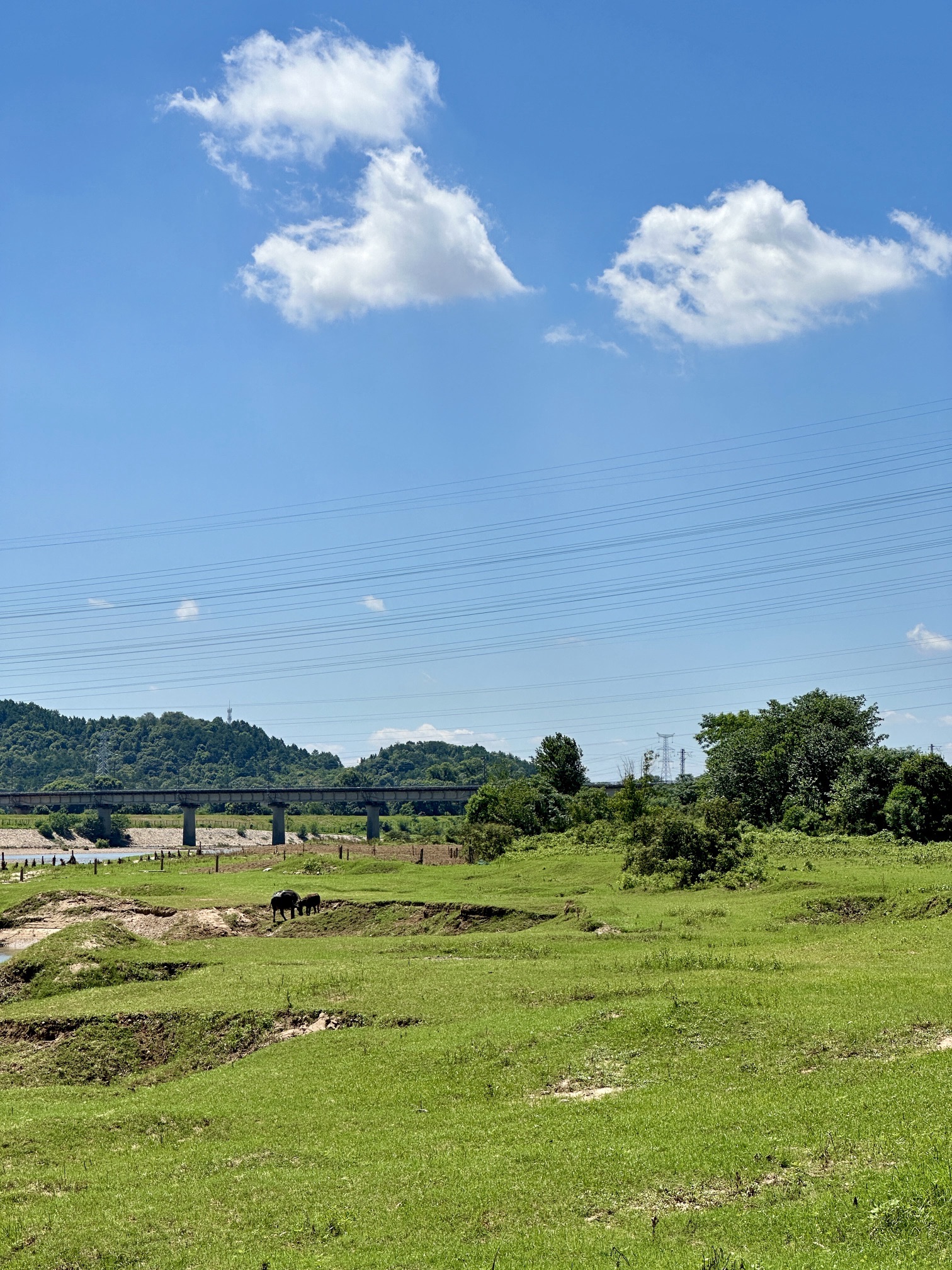 南街村河湖长制主题公园旅行图片 3