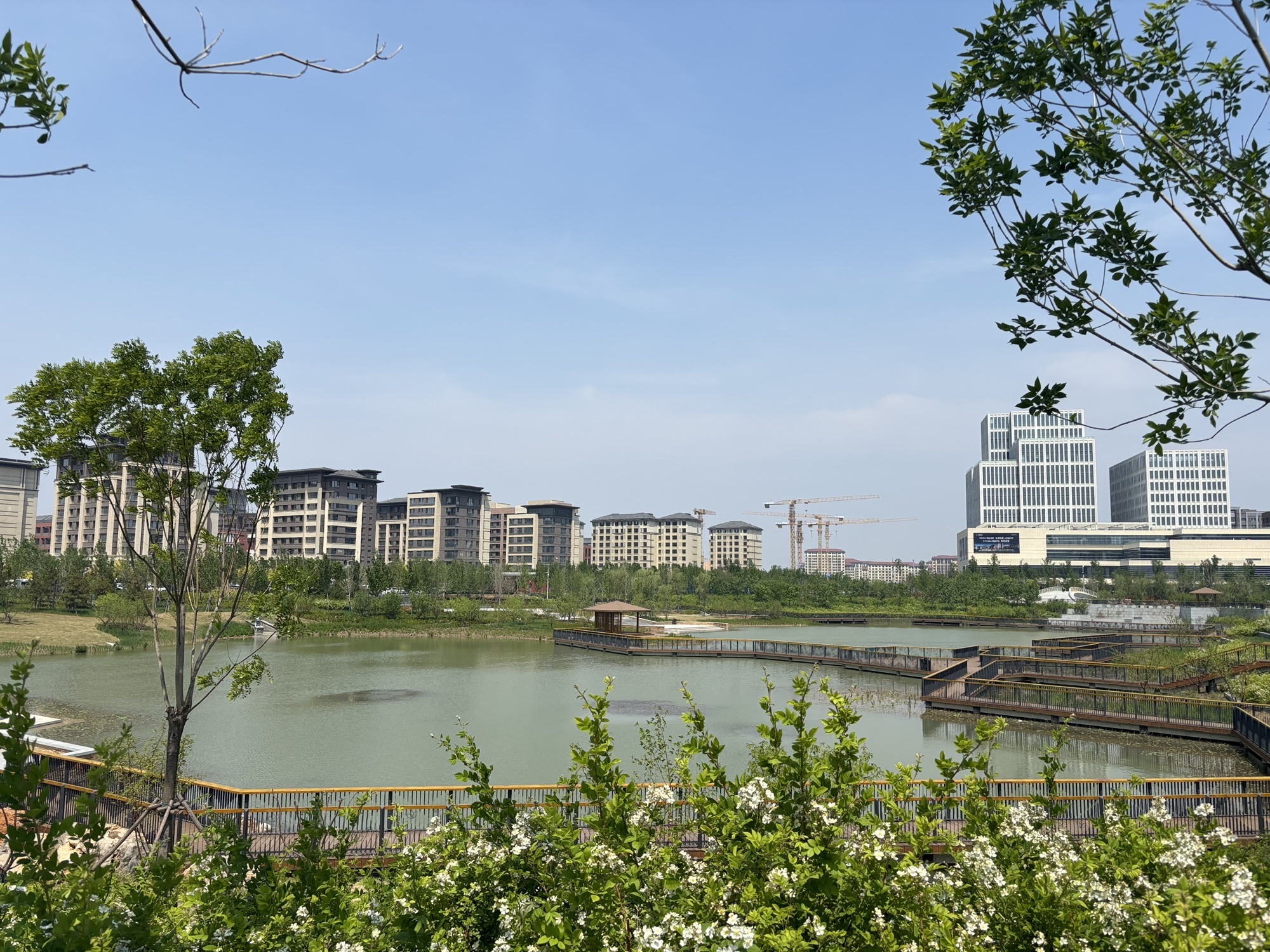 秋朗公园
