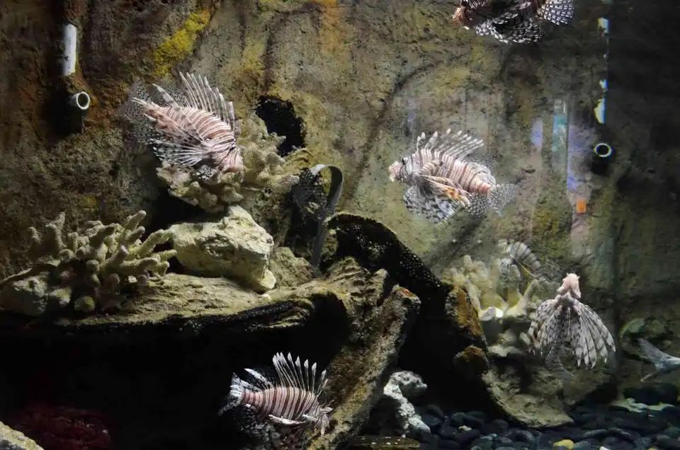 厦门国家级海洋公园旅行图片 3