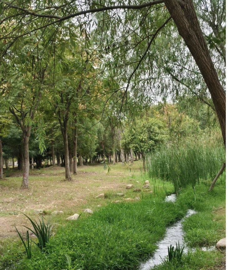 南艳湖炮弹厂遗址公园旅行图片 1