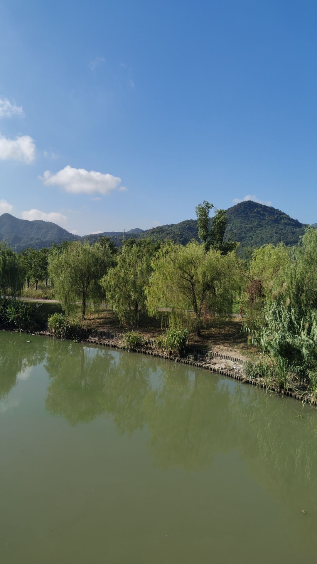 安然湿地公园