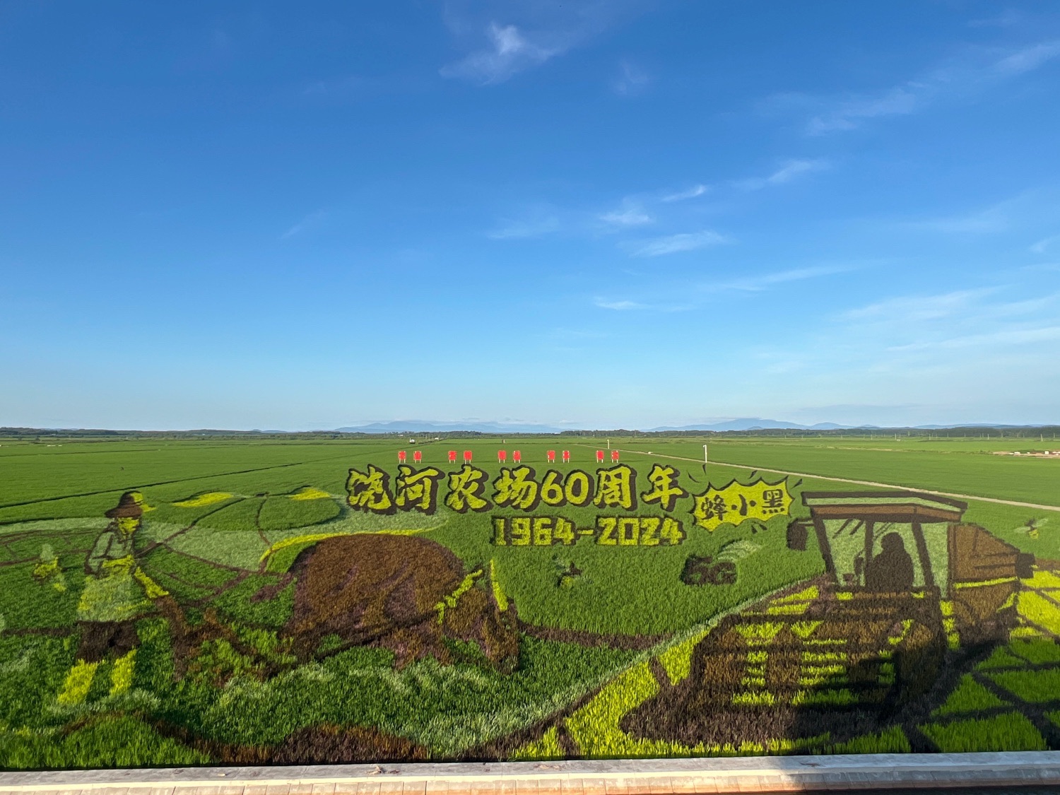 饶河农场艺术稻田旅行图片