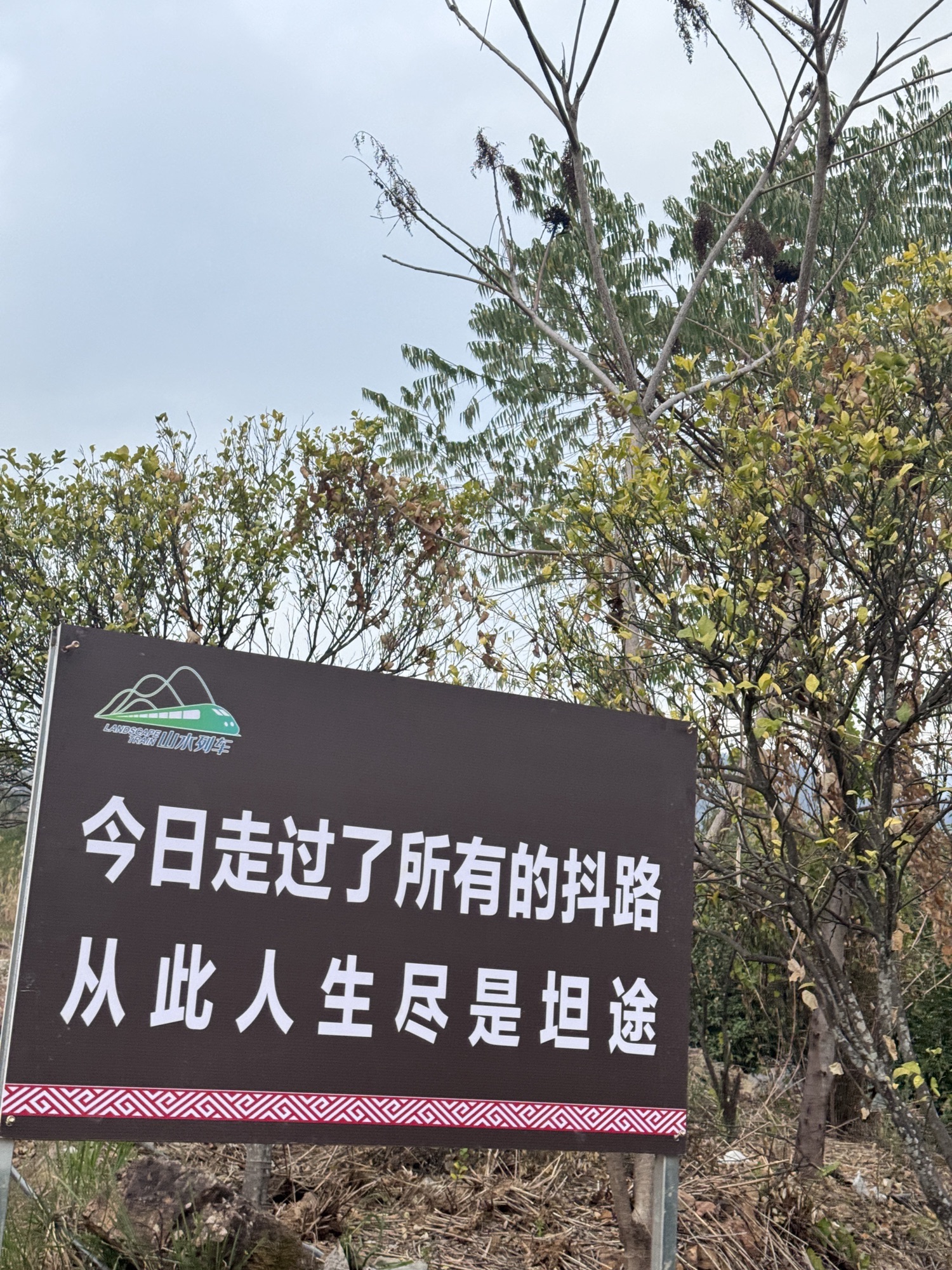阳朔山水列车旅行图片 2