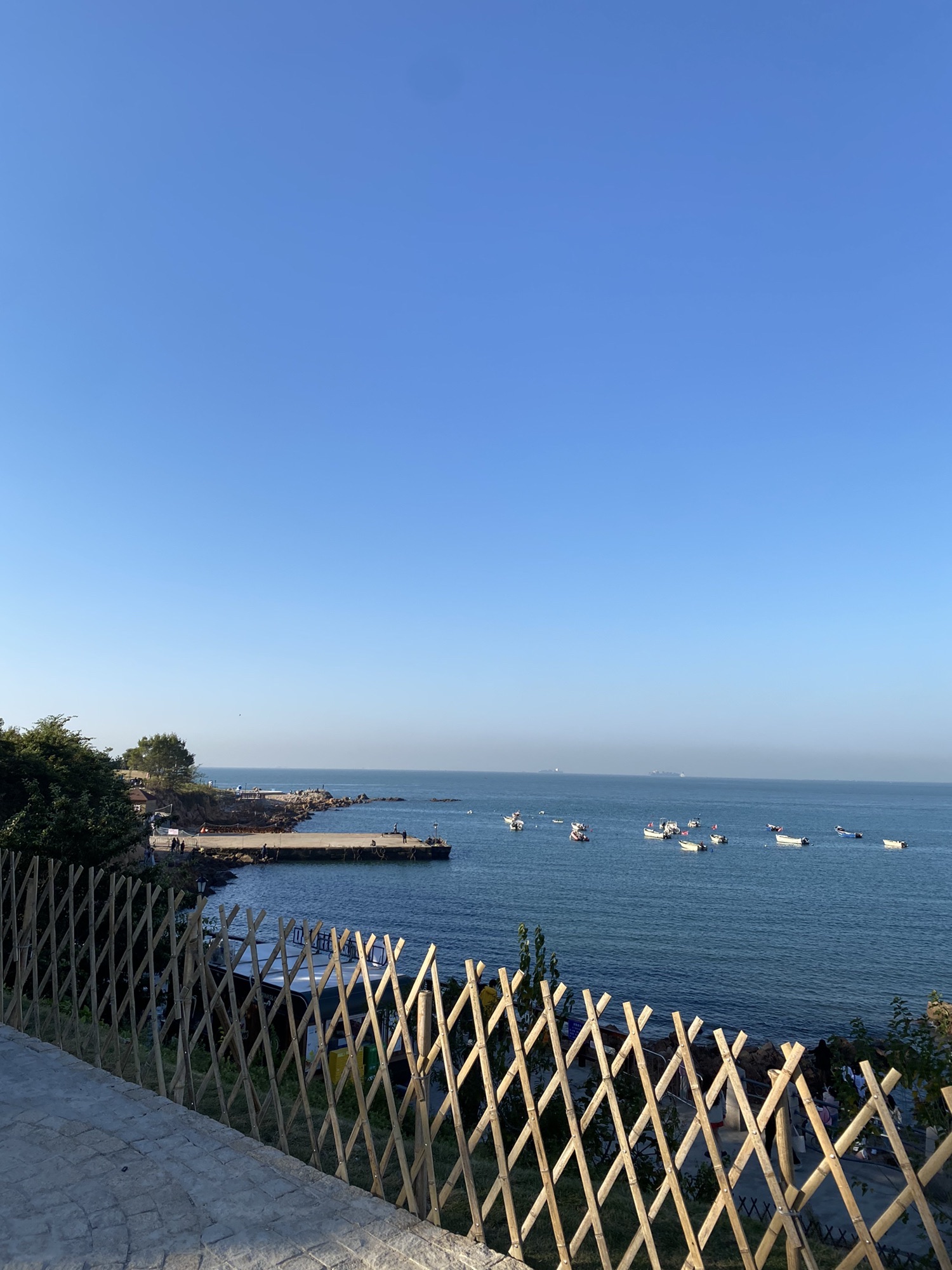 青小园小麦岛入口东园旅行图片 3