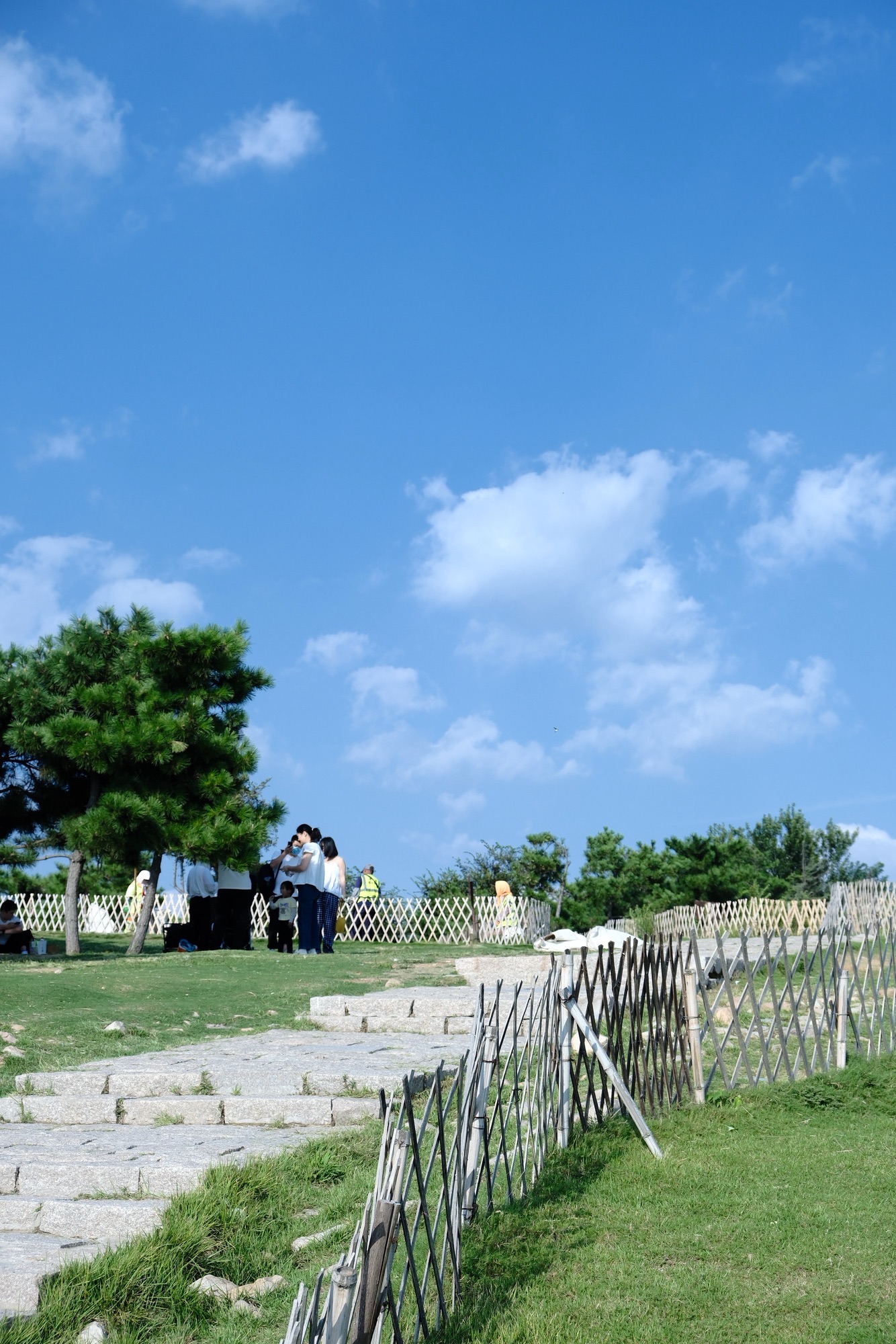 青小园小麦岛入口东园旅行图片