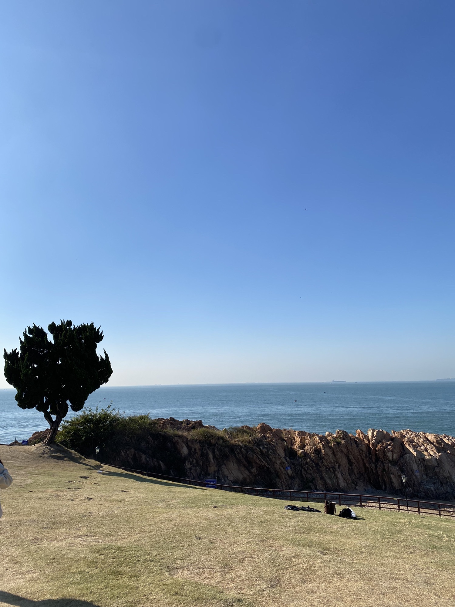 青小园小麦岛入口东园旅行图片