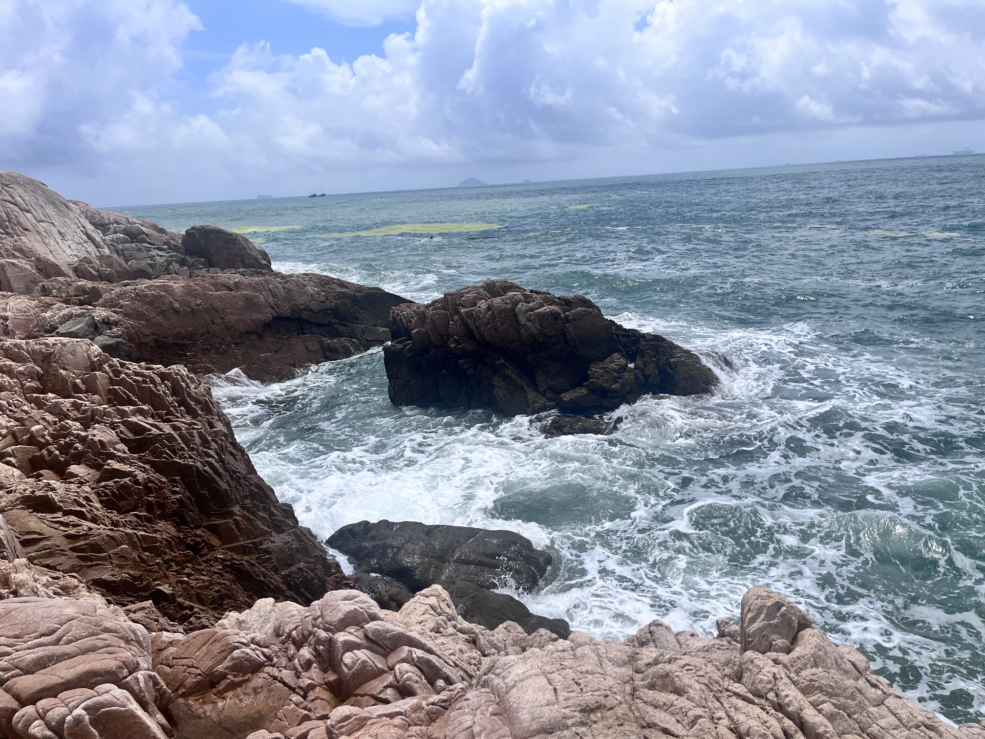 青小园小麦岛入口东园旅行图片