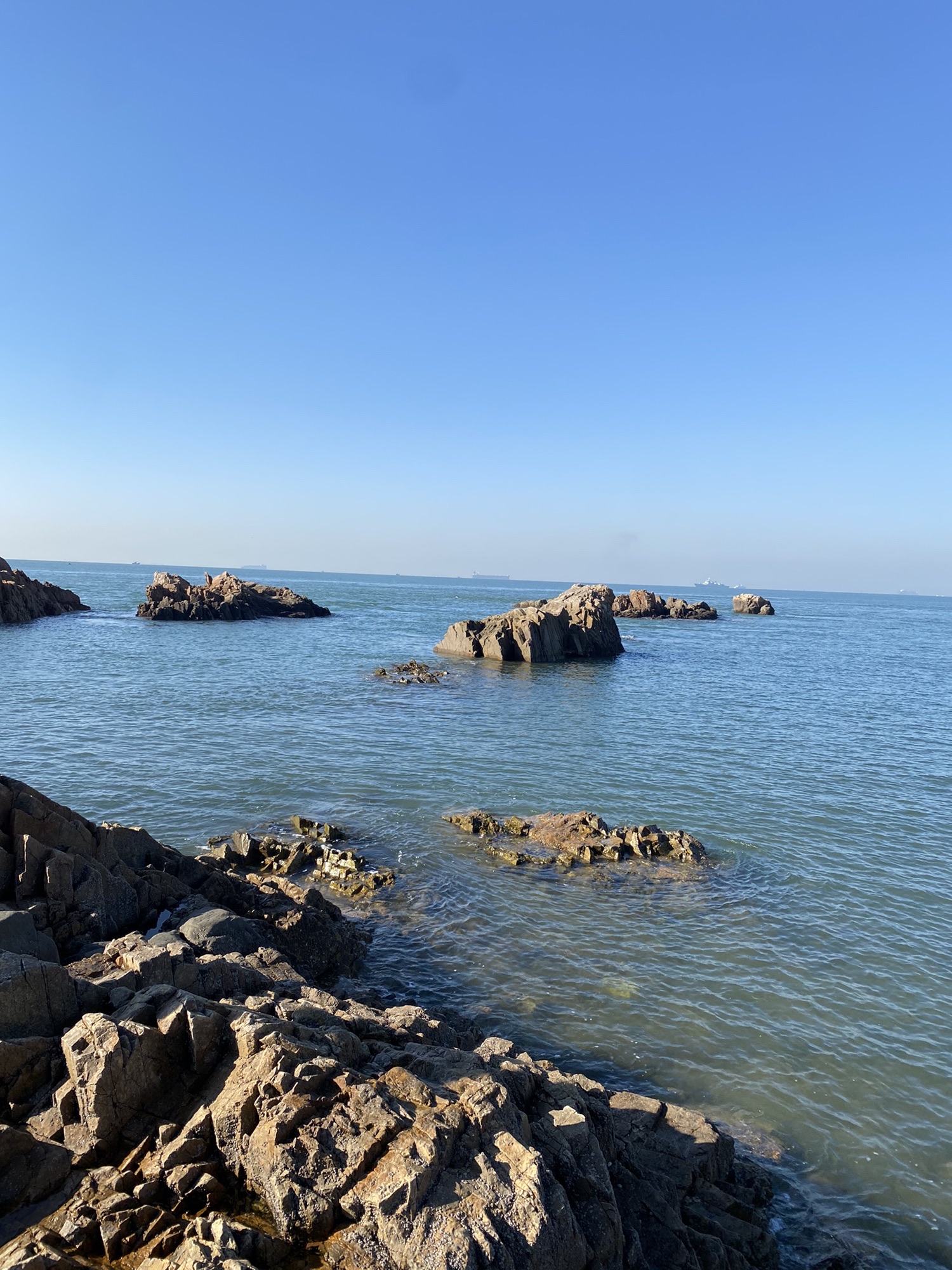 青小园小麦岛入口东园旅行图片 2