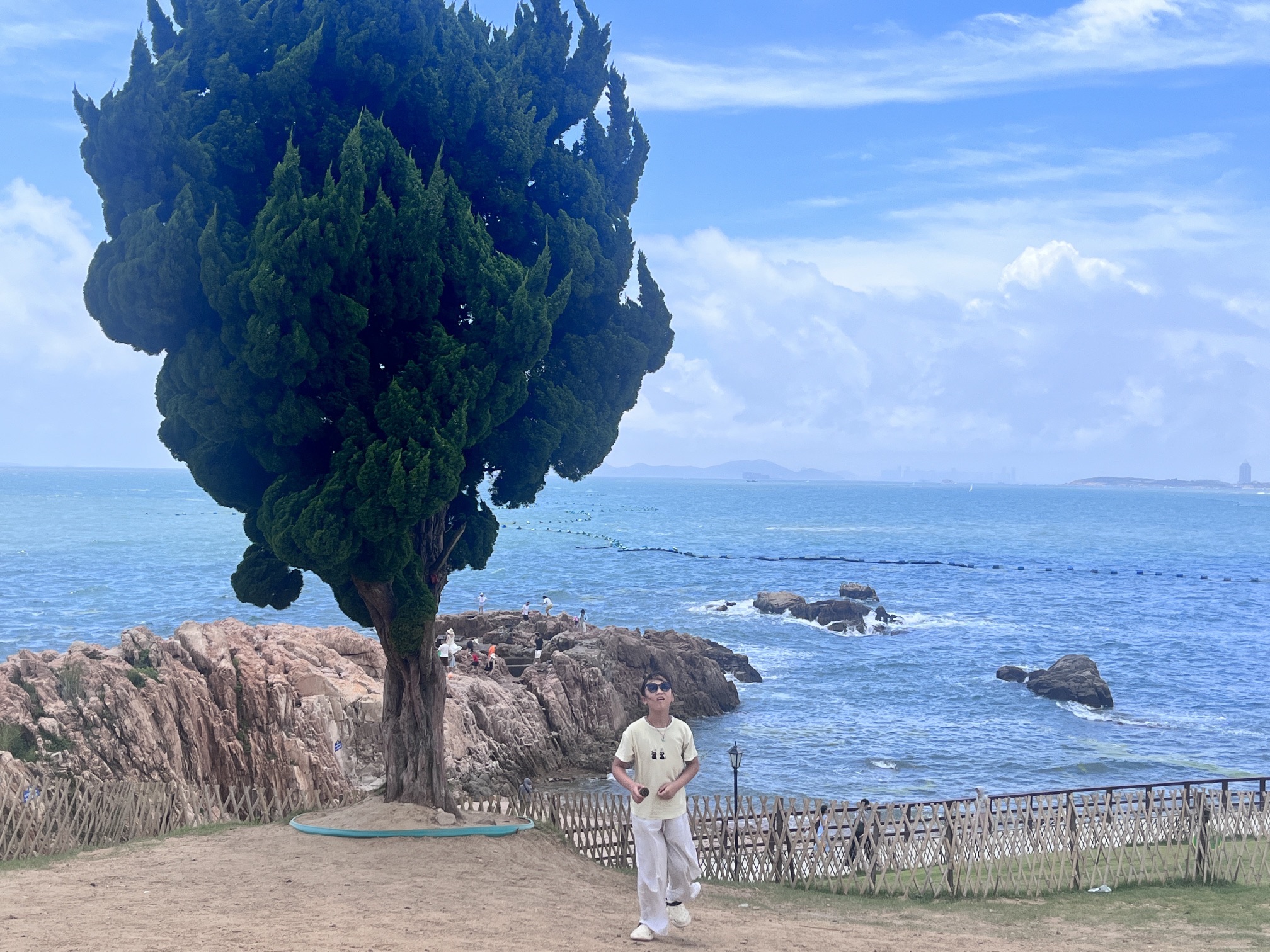 青小园小麦岛入口东园旅行图片 3