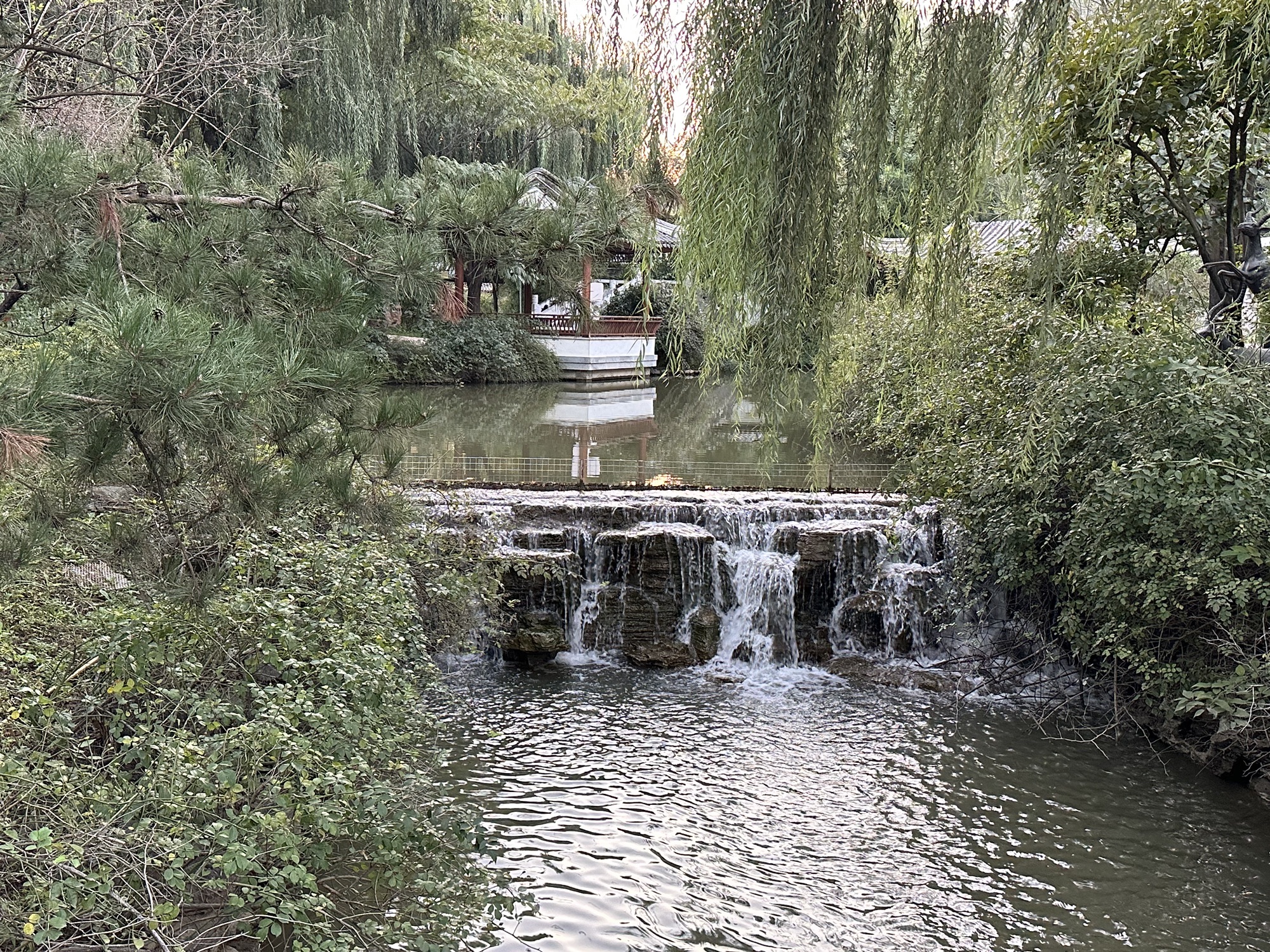 保府大院(暂停开放)旅行图片 2