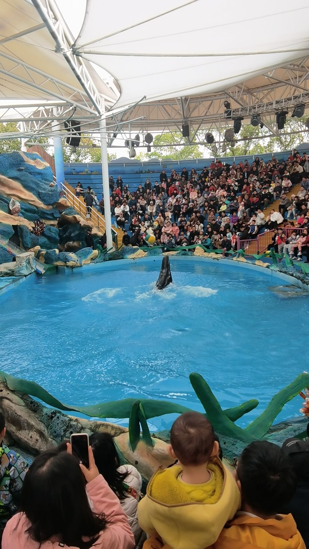 上海九段沙湿地国家级自然保护区旅行图片 1