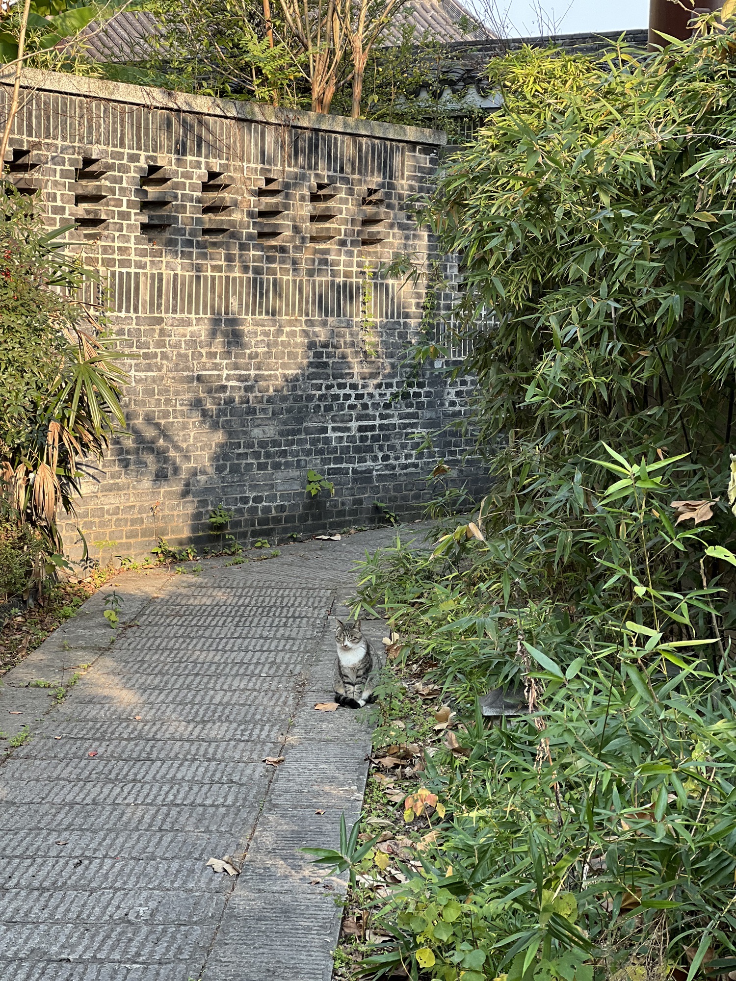 陶侃墓旅行图片 1