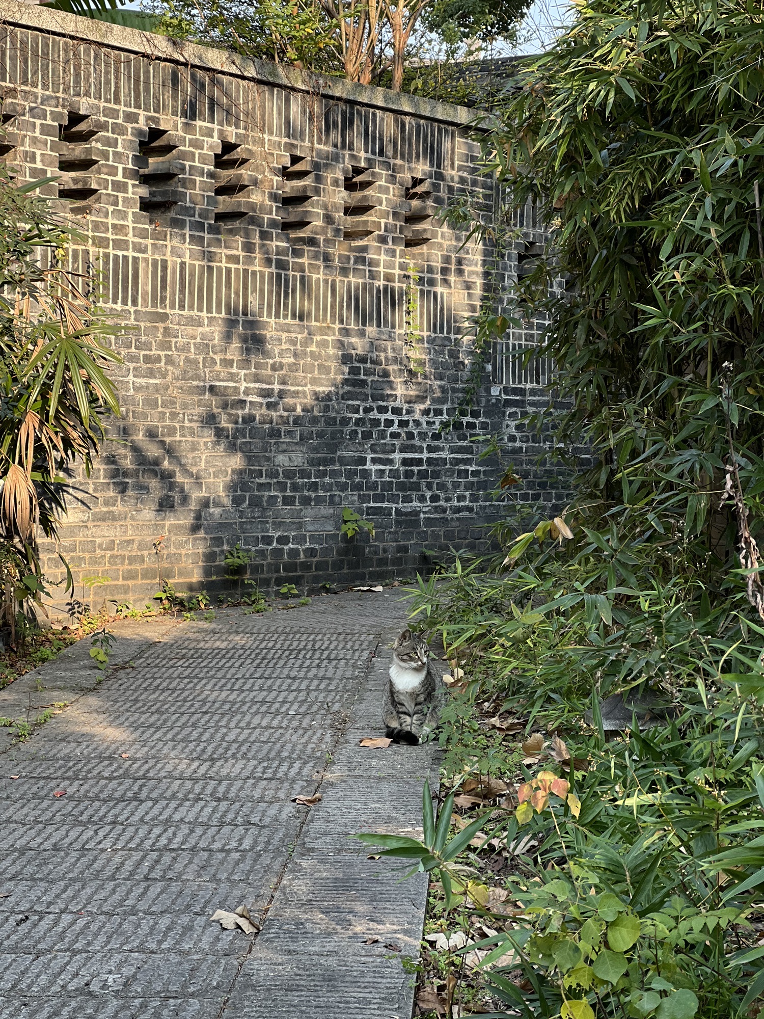 陶侃墓旅行图片 2